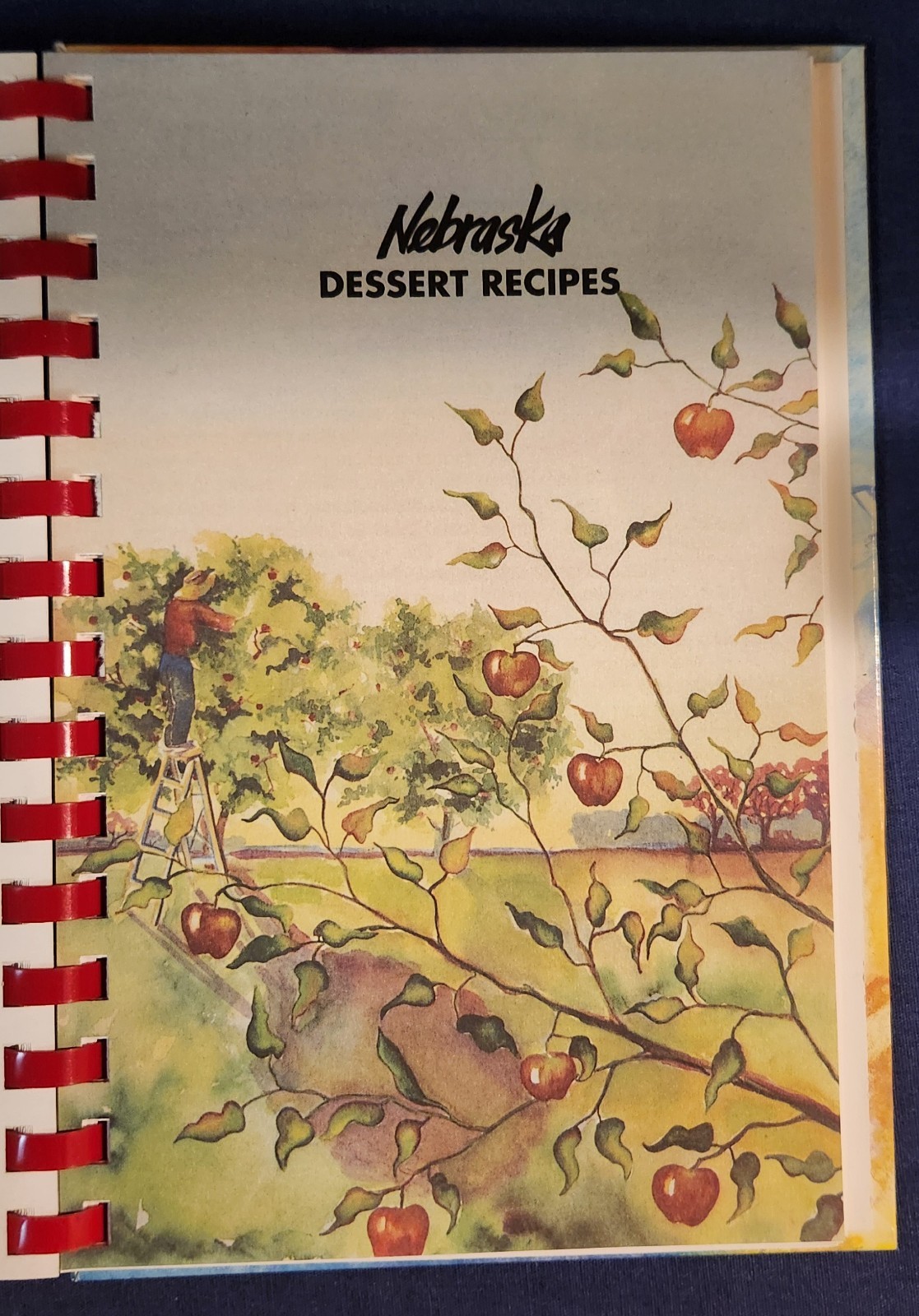 Nebraska Cookbook Taste the Good Life 1991 Leafie Mae’s Kitchen Kearney NE