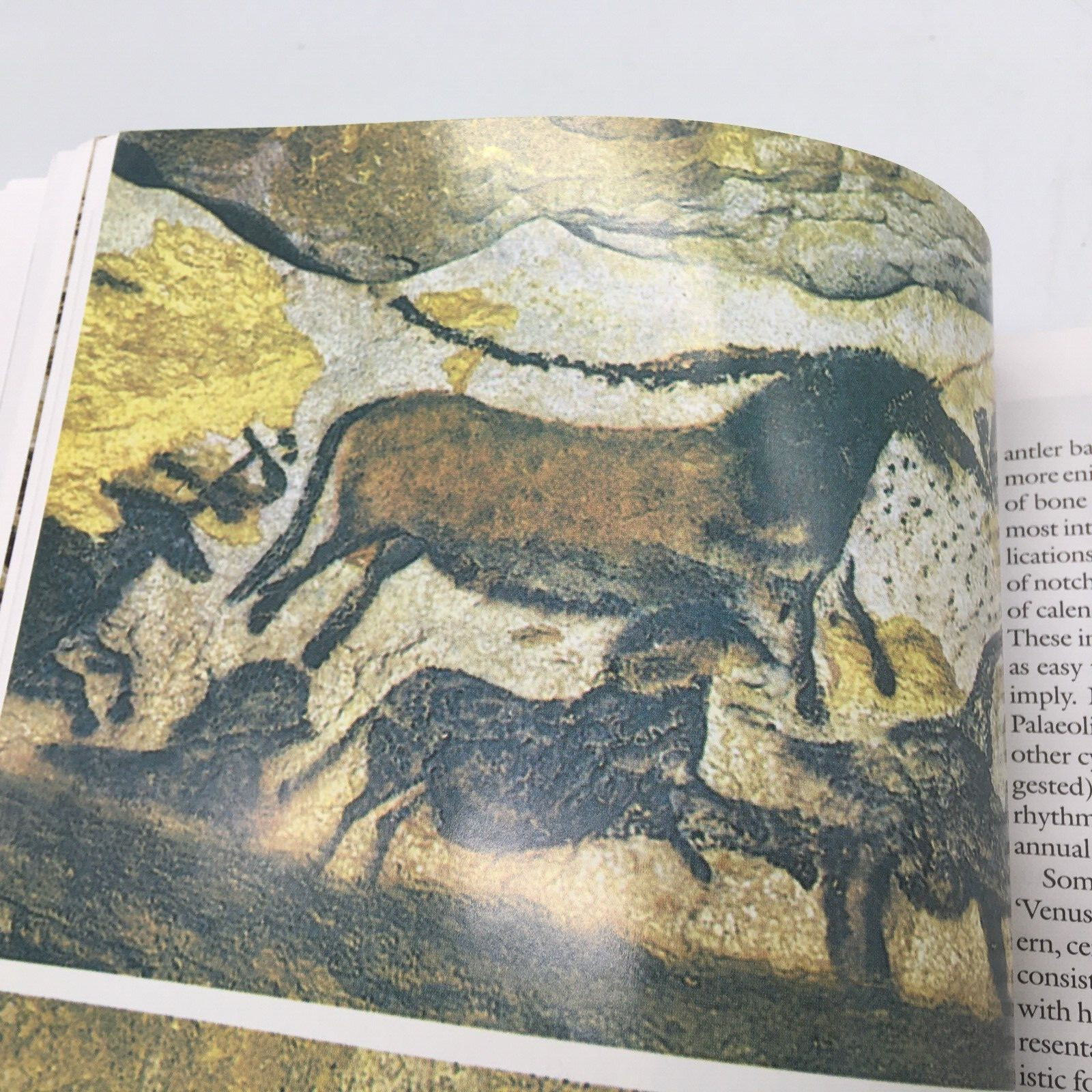 THE OXFORD ILLUSTRATED HISTORY OF PREHISTORIC EUROPE By Barry Cunliffe Like New