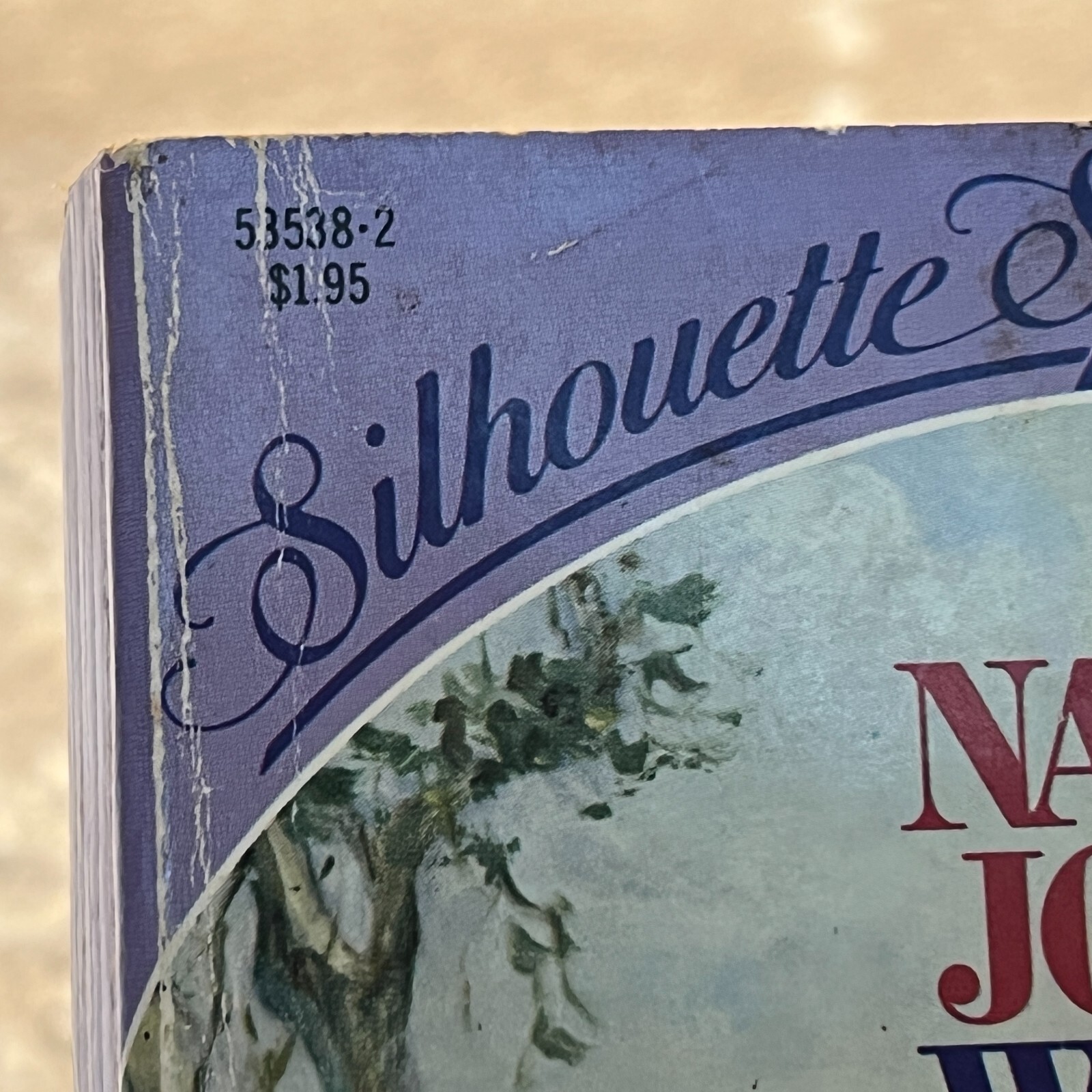 Web Of Passion Romance Paperback Book by Nancy John from Silhouette 1982
