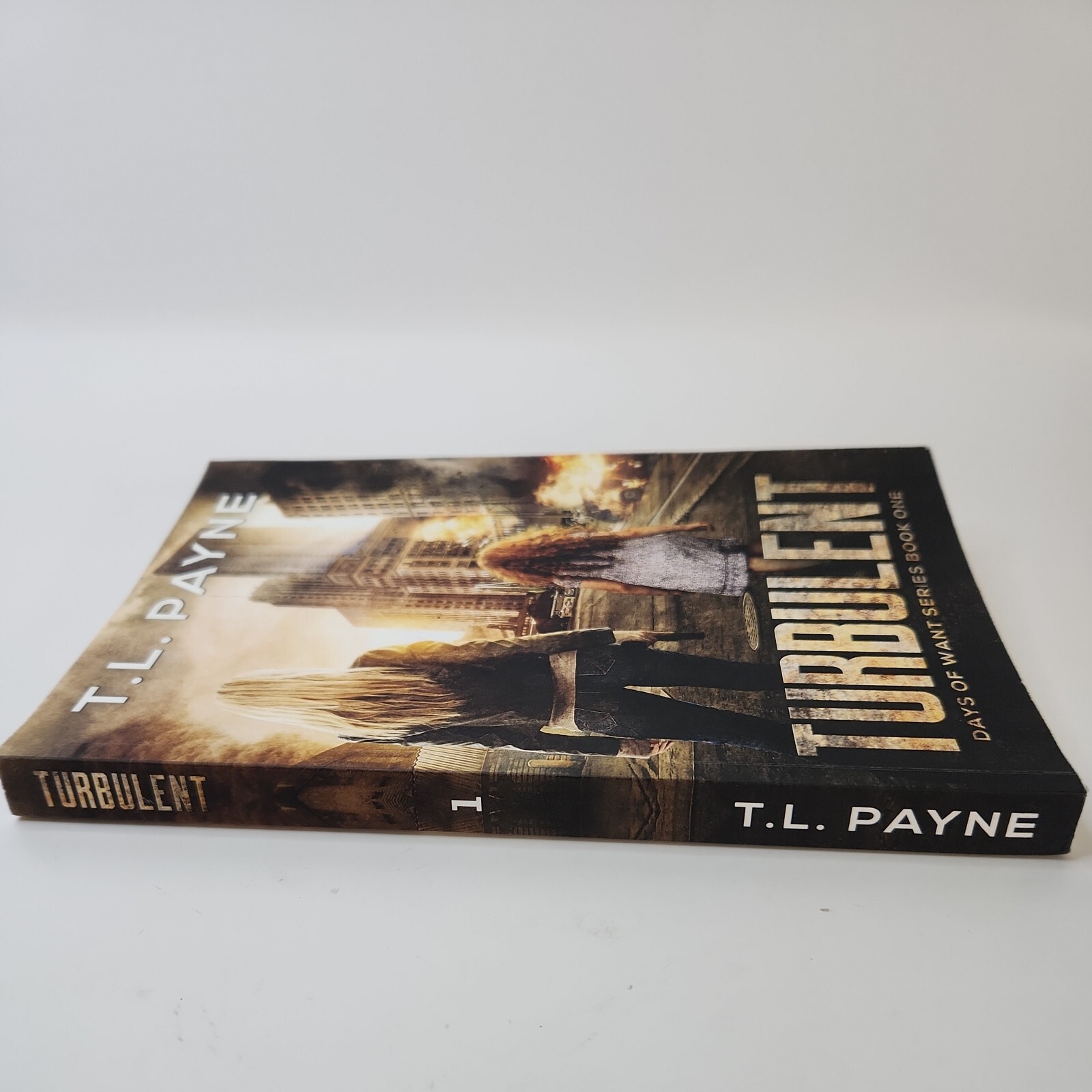 Days of Want Ser. Book 1: Turbulent : A Post Apocalyptic EMP Survival Thriller