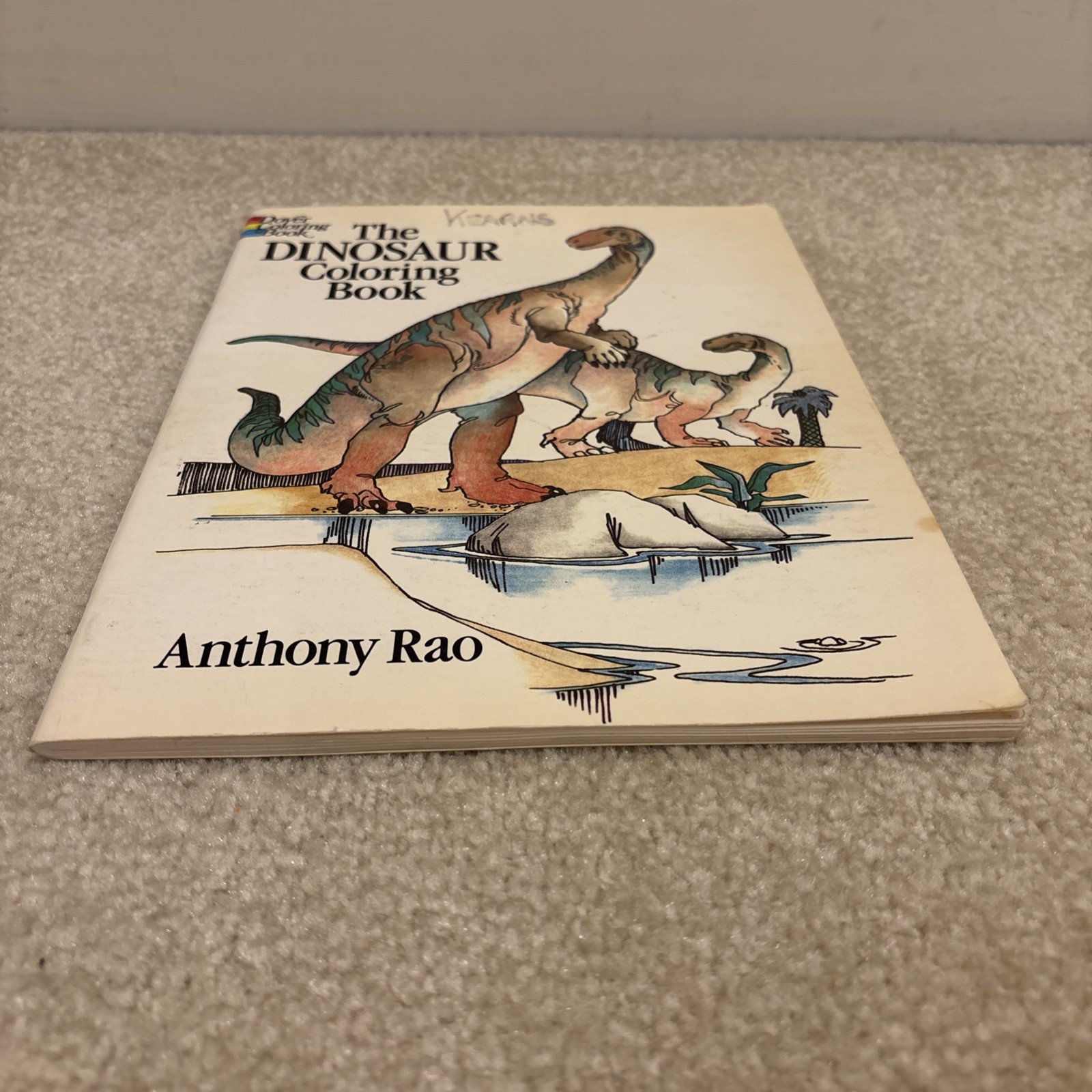 The Dinosaur Dover Coloring Book Paperback Anthony Rao Vintage 1980