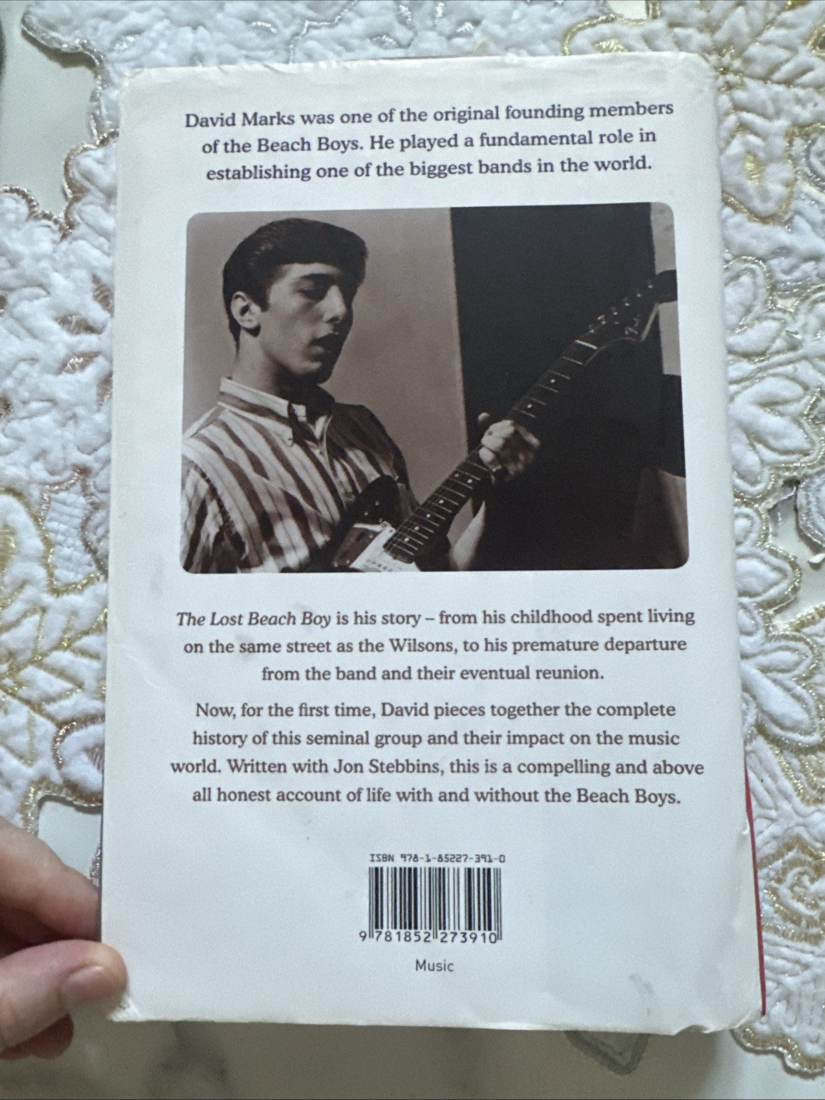 Lost Beach Boy : The True Story of Beach Boy by Jon Stebbins & David Marks
