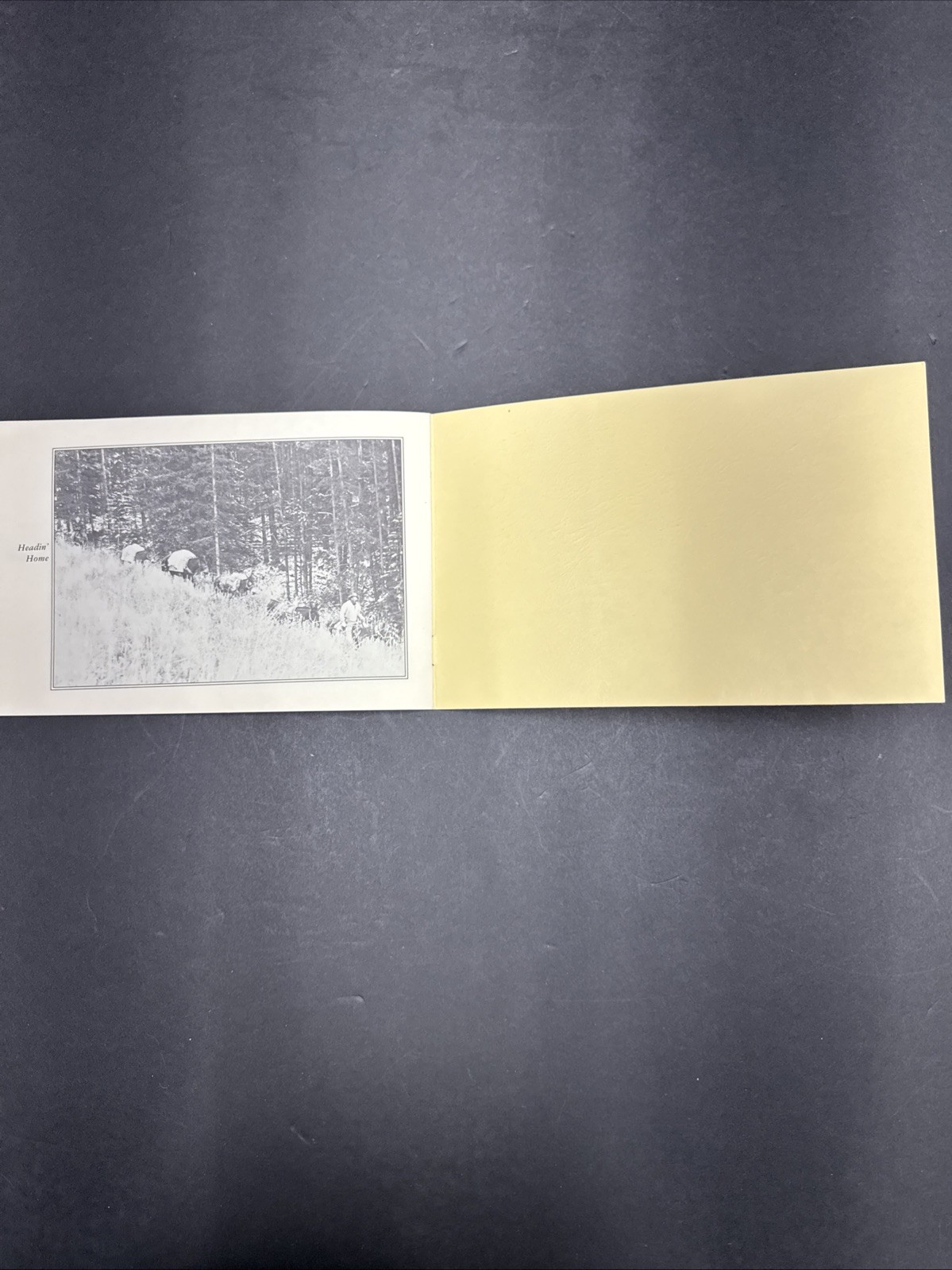 Hells ‘A’ Roarin Outfitters Hunting Pamplet – Vintage Paperback 20 Pages