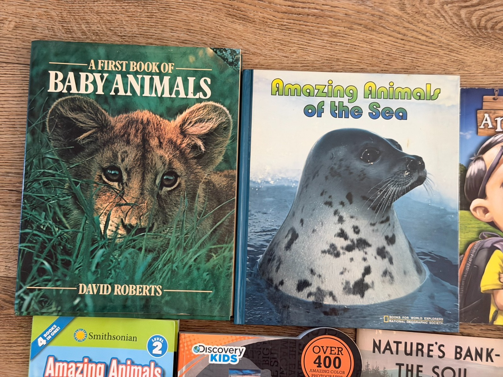 Lot of 15 Children’s Animal animals Picture Books Homeschool Sharks, Reptiles…
