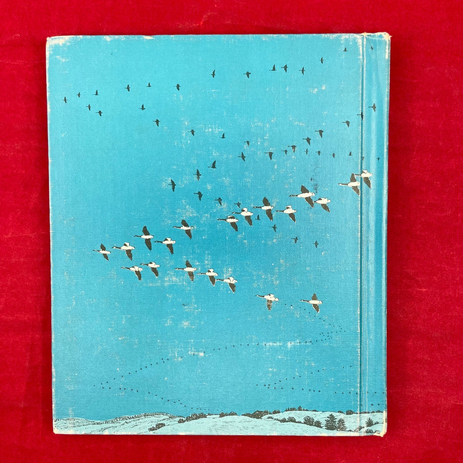 Vintage 1968 Bird Watching Aubrey Burns Hardcover Book – Discard