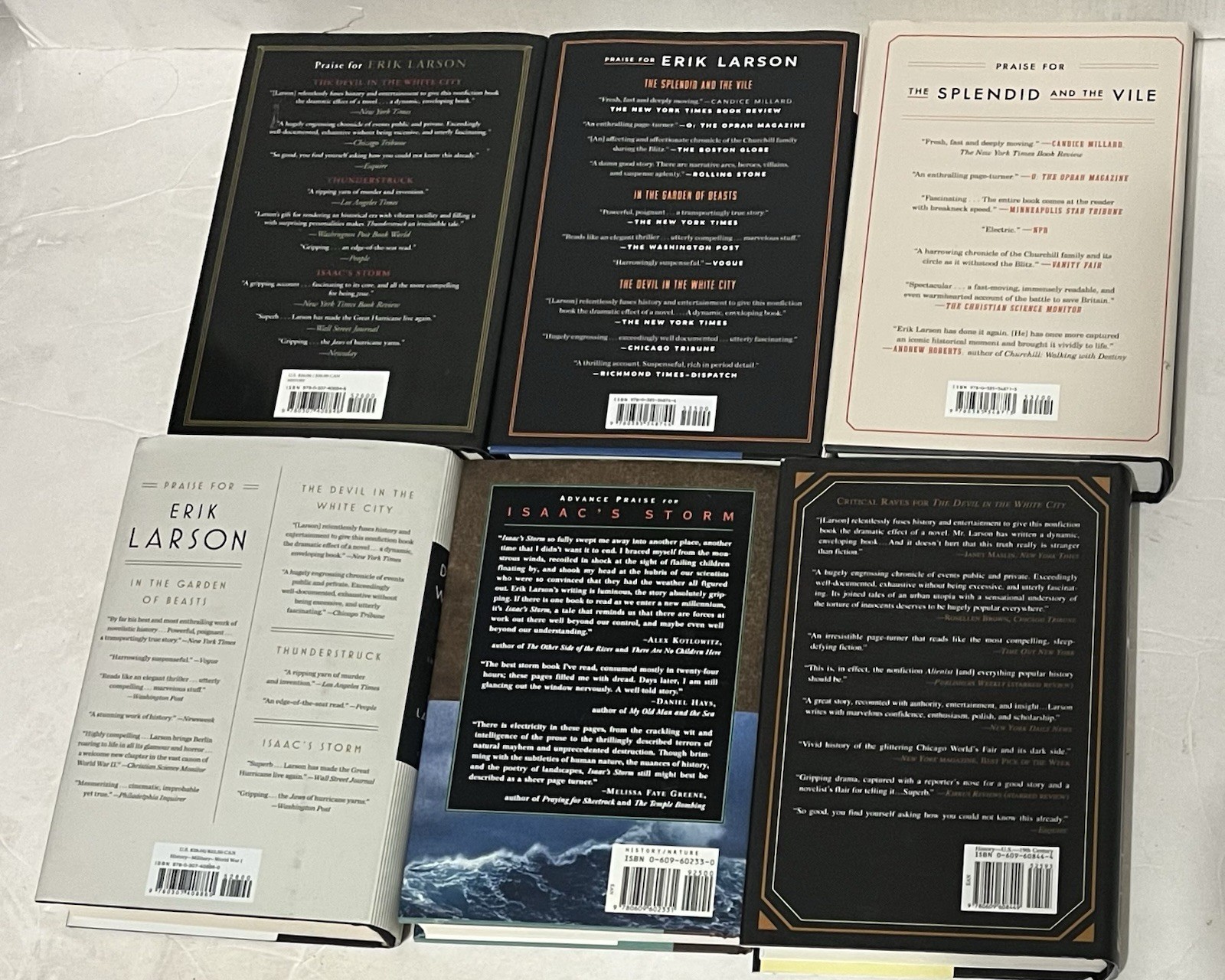 Erik Larson 6 Hardcover Book lot Devil in Isaac’s Wake Demon Splendid Garden VG