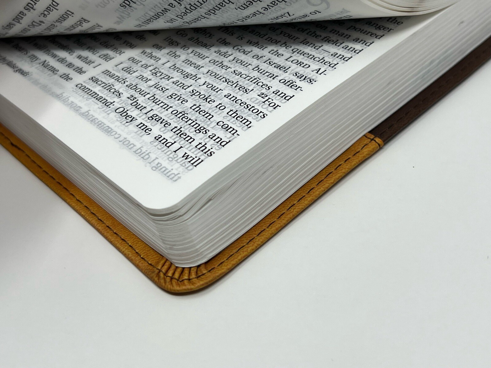 ✝️ LARGE PRINT Zondervan NIV Church Bible 2011 Duo-Tone Brown / Tan CLEAN