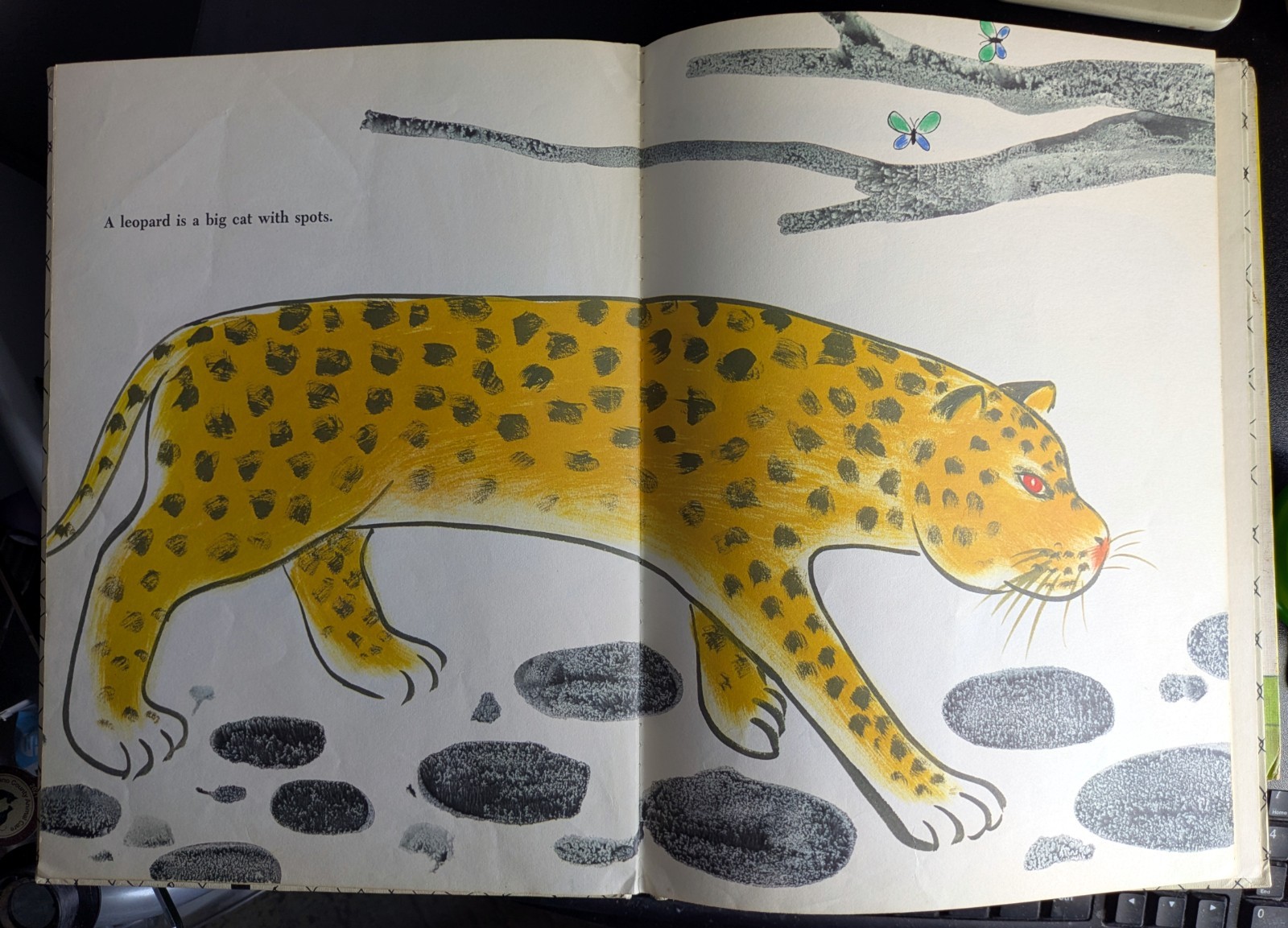 Bruno Munari’s Zoo 1963 First Edition