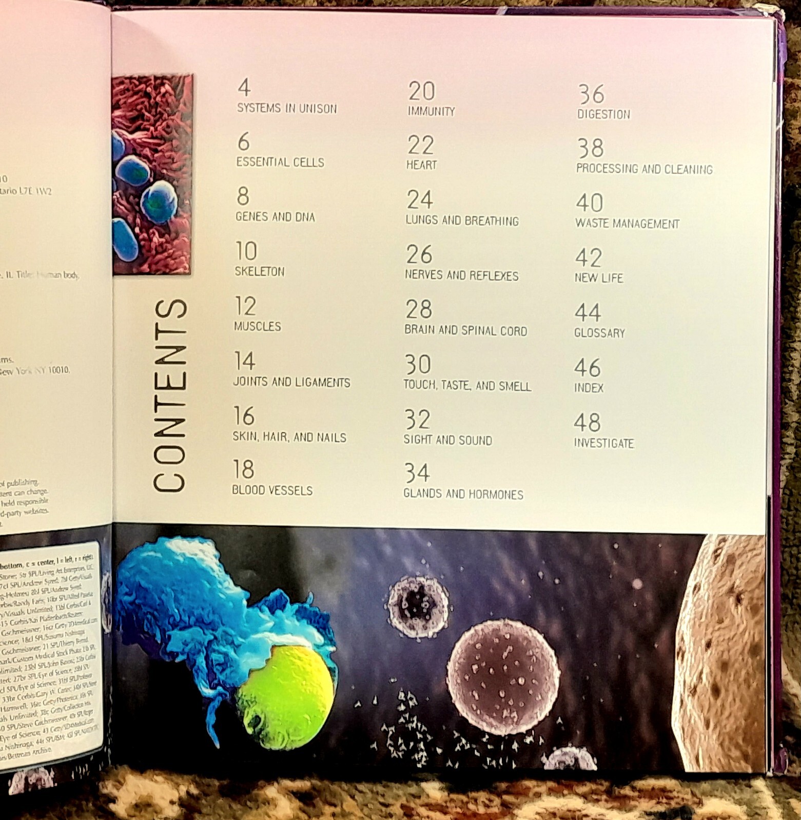 Navigators: Human Body By Miranda Smith Hardcover