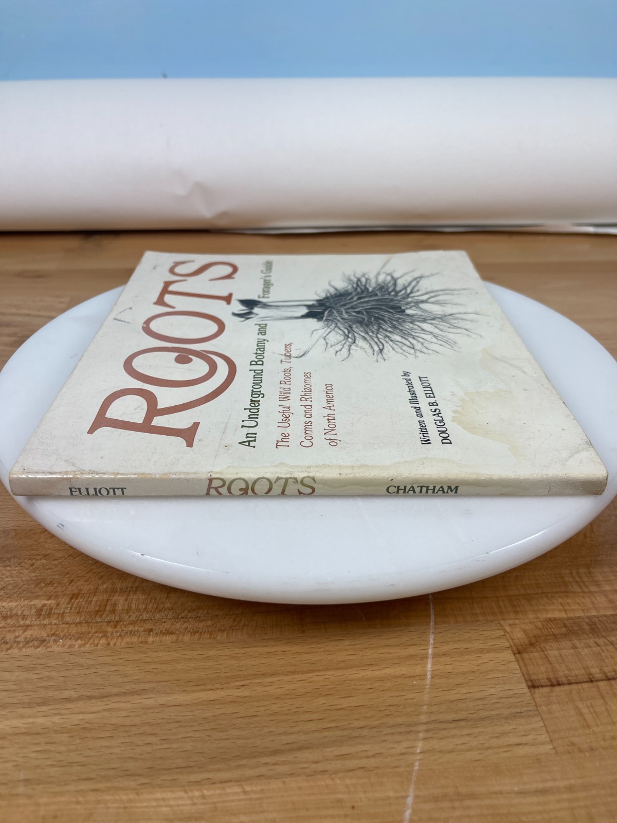 Roots Underground Botany Forager Guide Douglas B Elliott Vintage PB 1979