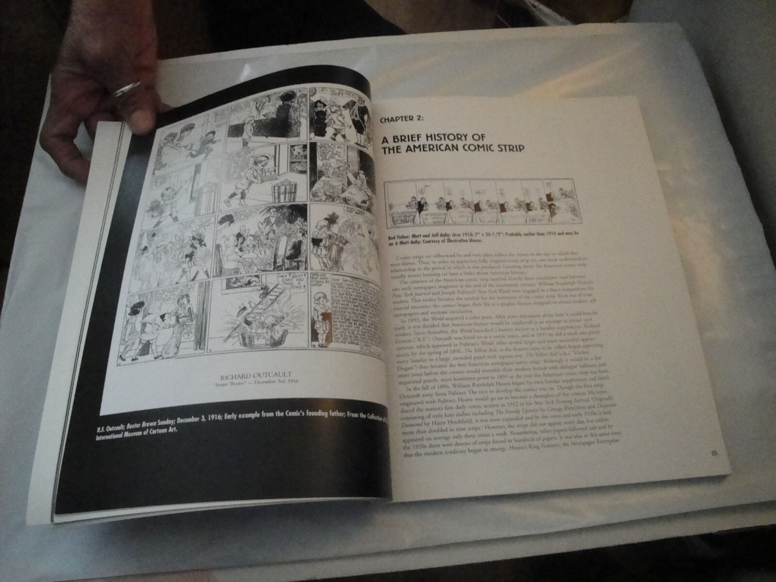 COLLECTING ORIGINAL COMIC STRIP ART! by Jeffrey M. Ellinport 135 pages 1st 1999