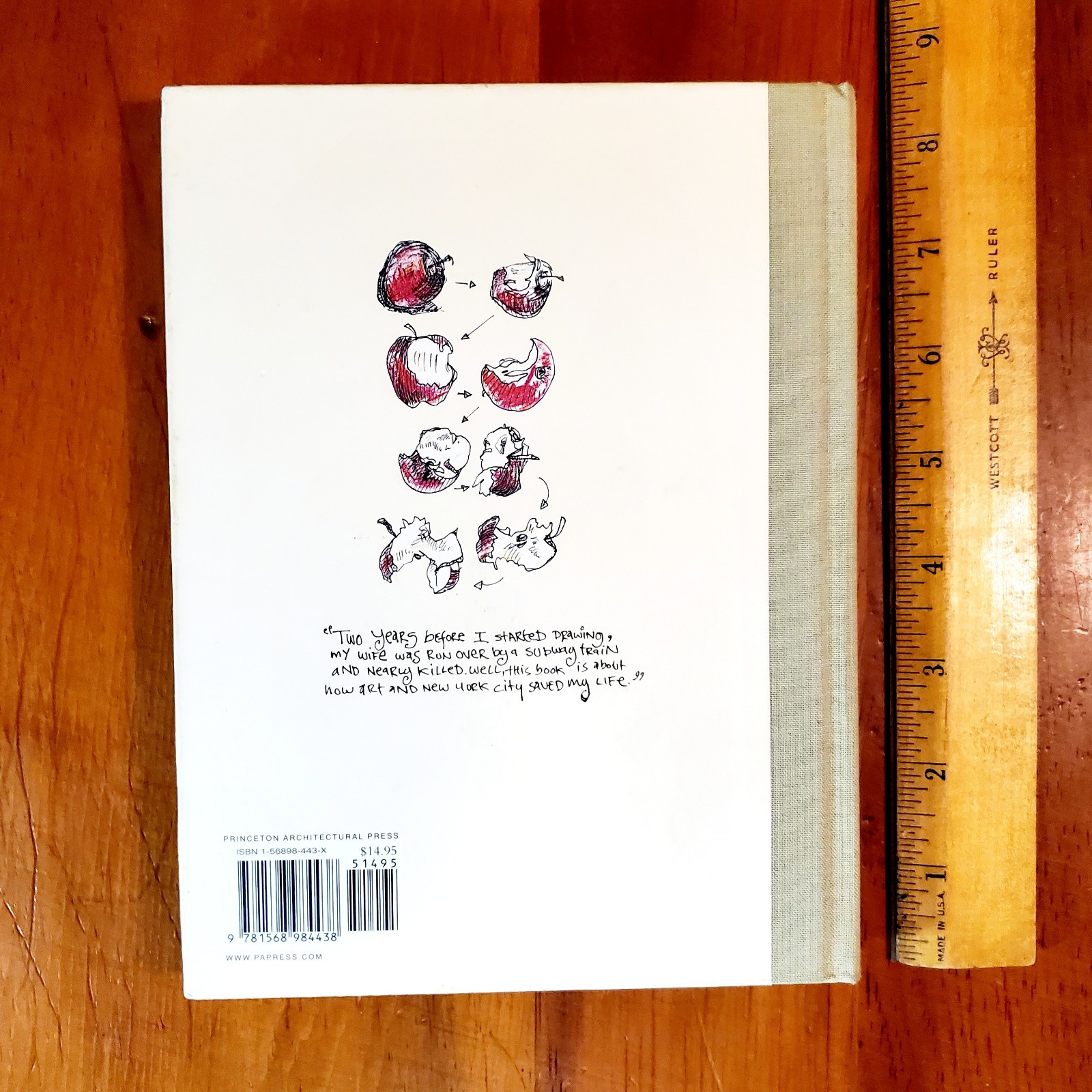 NEW 1st/1st Ed EVERYDAY MATTERS A NY Diary Danny Gregory Illustrated Hardcover