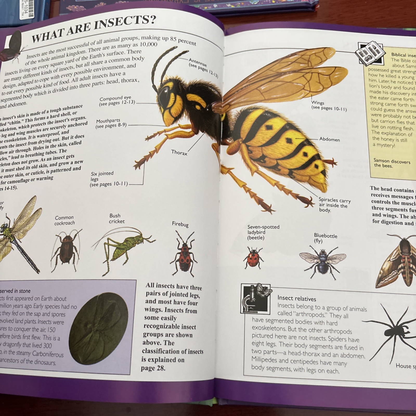 World of Wow, Set Of 4 Books, Body, Insects, Universe, Planets