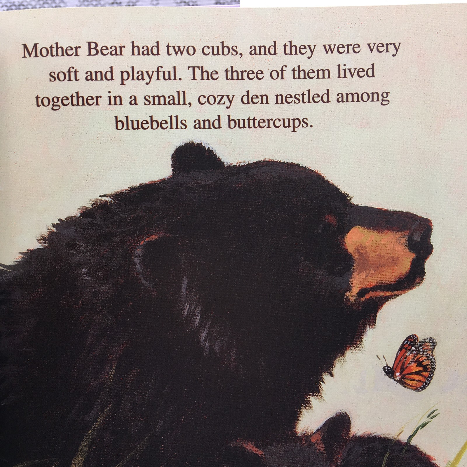 Adventure/ Picture 2 BOOK COMBO The Legend of Sleeping Bear & Crow & Weasel