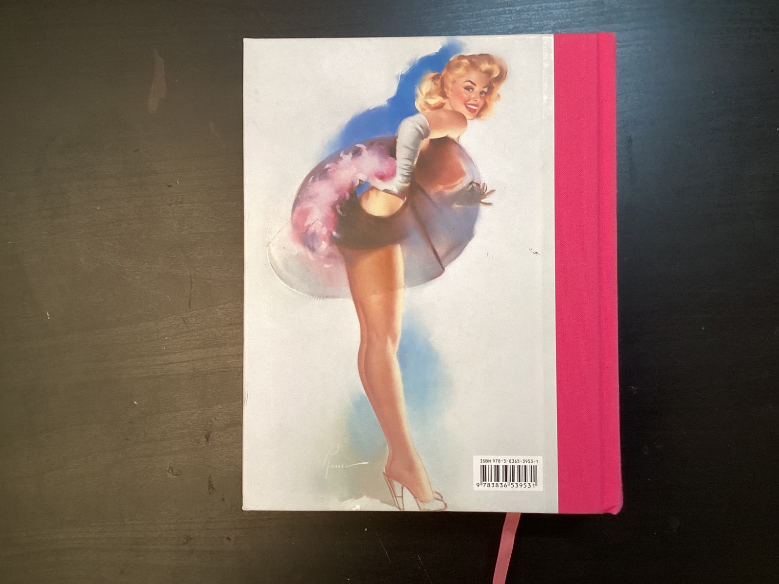 365 Day-by-Day Pin-Up Dian Hanson (2012, Hardcover Taschen)