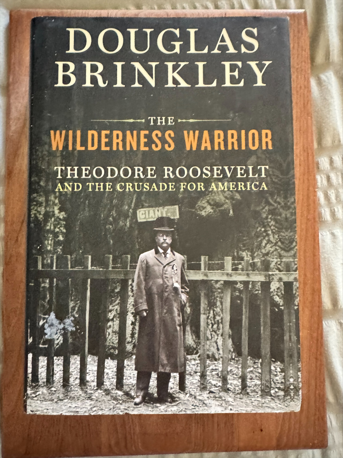 The Wilderness Warrior Theodore Roosevelt Biography By Douglas Brinkley HC