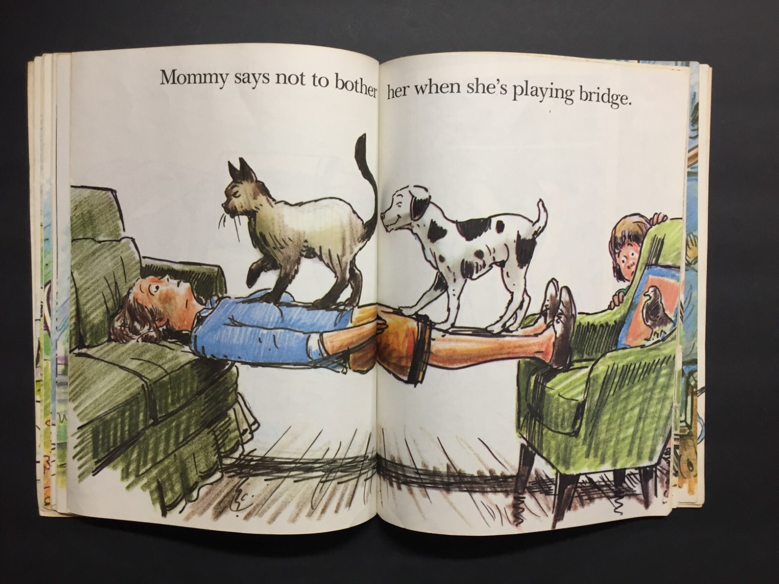 The King Who Rained by Fred Gwynne/Growing Vegetable Soup/Shapes/Numbers