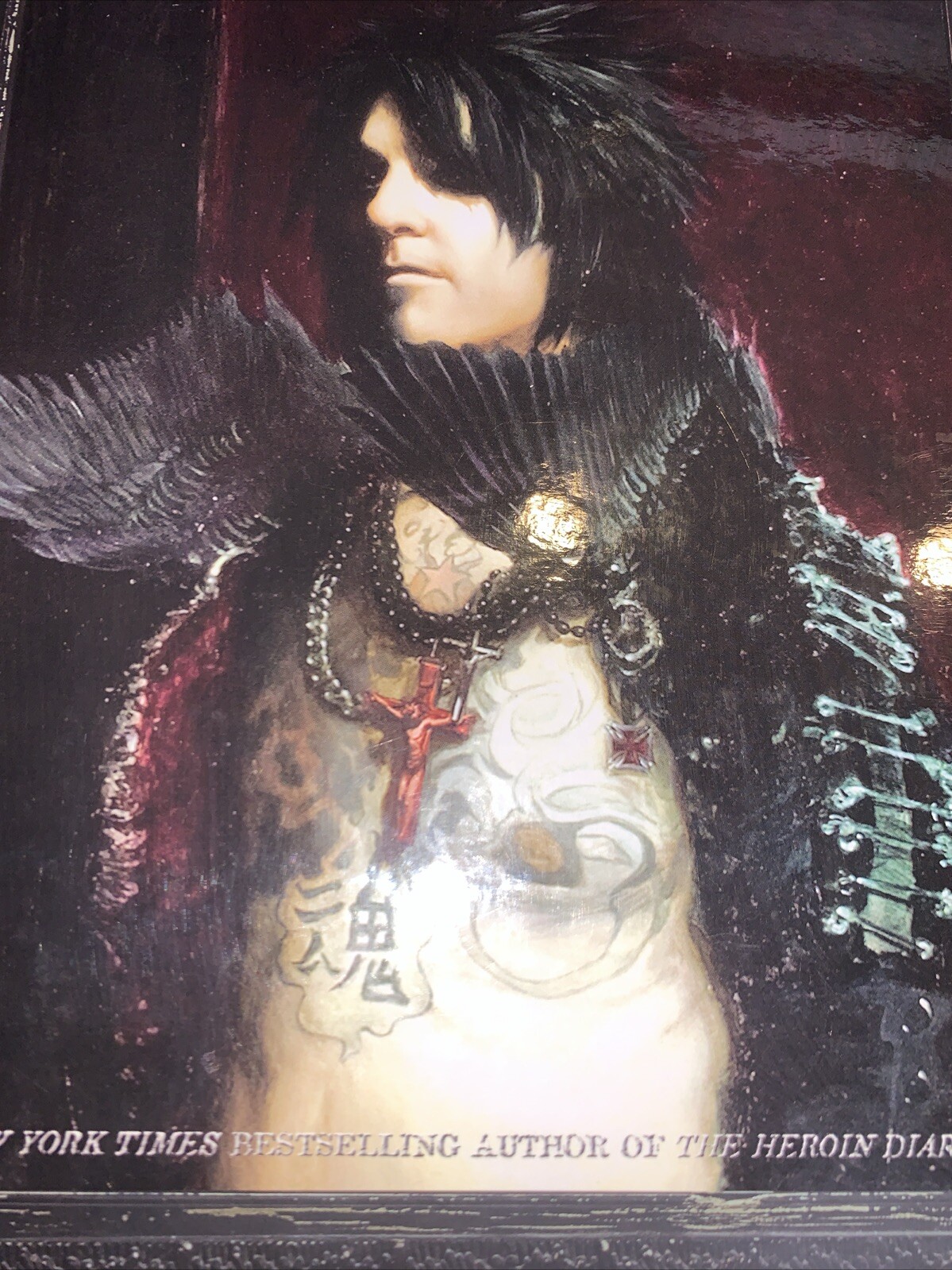 This is Gonna Hurt Picture Book PB by Nikki Sixx Music Photos Lifestyle Vivid