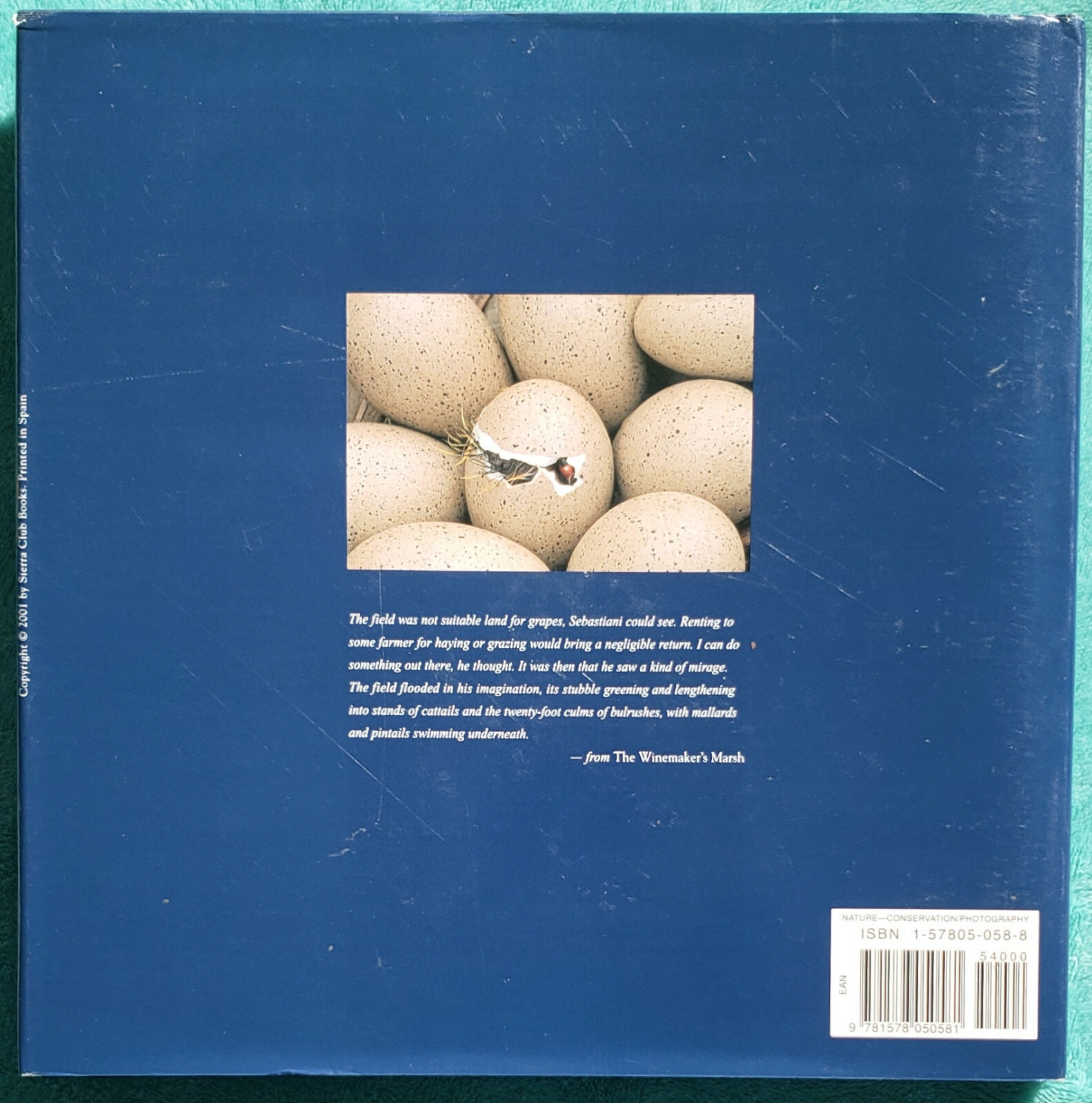 The Winemaker’s Marsh 4 Seasons In A Restored Wetland 2001 Hardcover 166 Pages