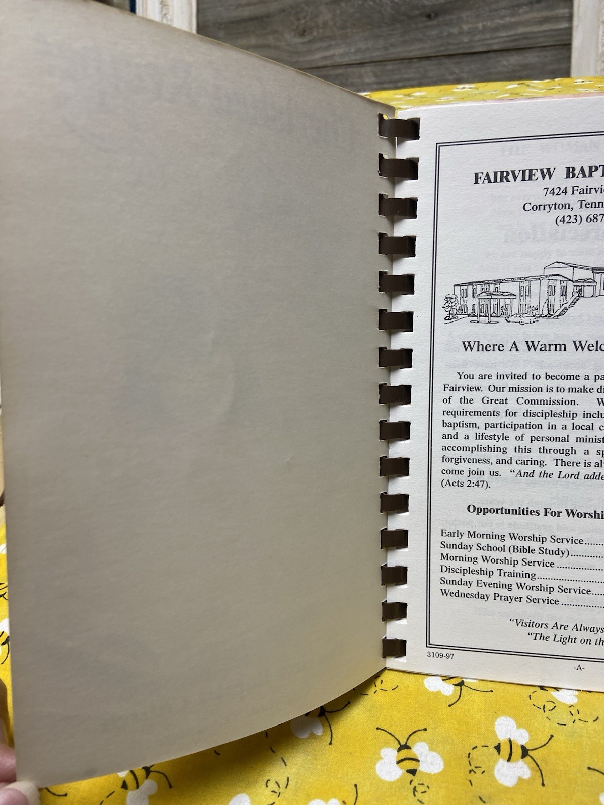 Cherished Recipes:Fairview Baptist Church Cookbook 1996 Grannycore