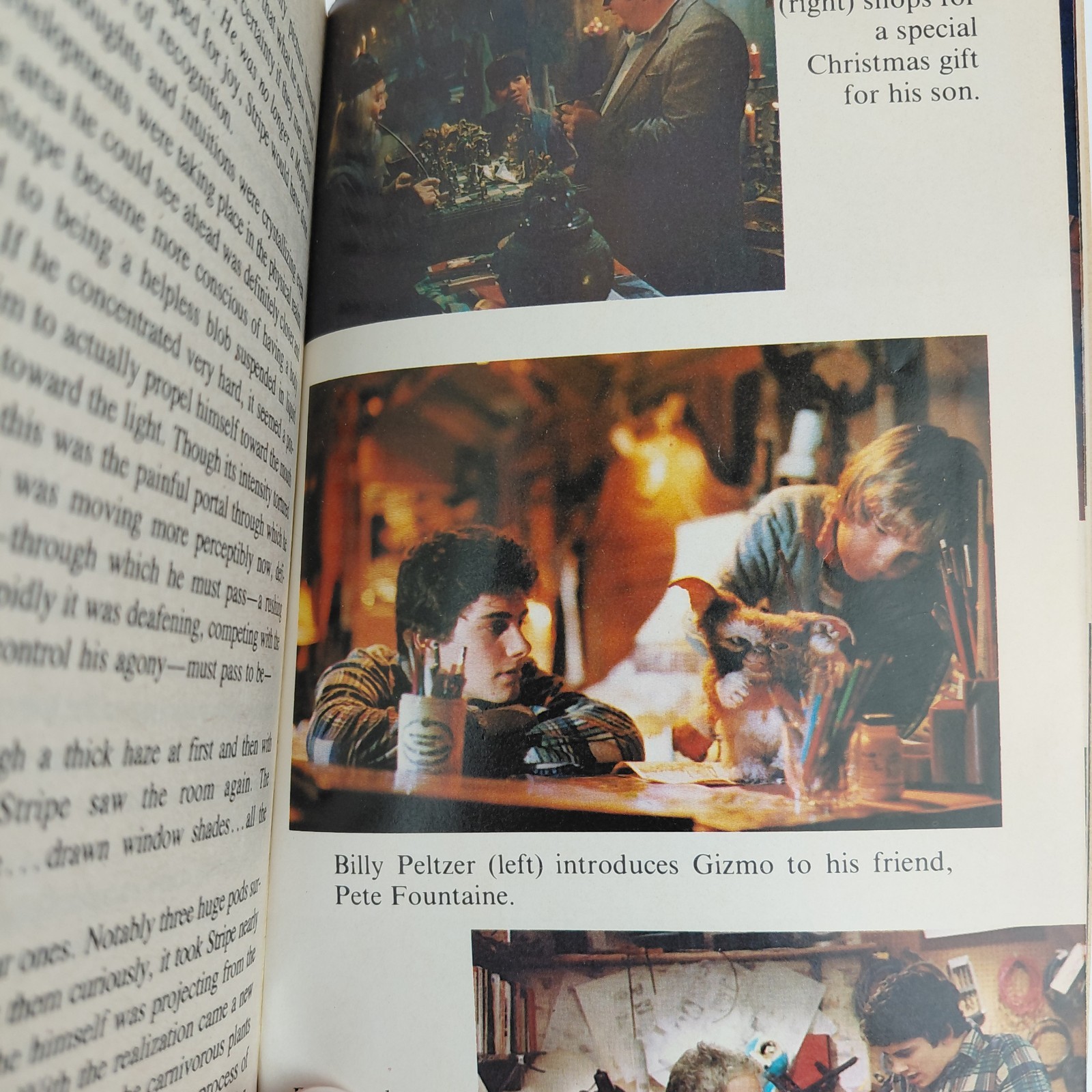 Gremlins by George Gipe 1984 1st Avon Printing 16-page Movie Tie-in photos