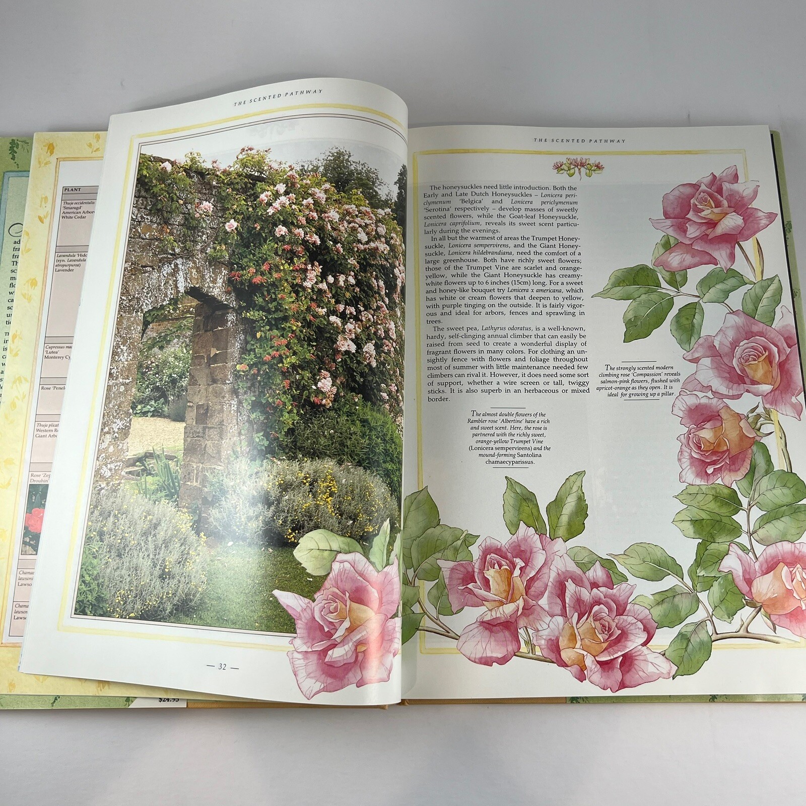 The Scented Garden by David Squire – Hardcover 1988 (used)