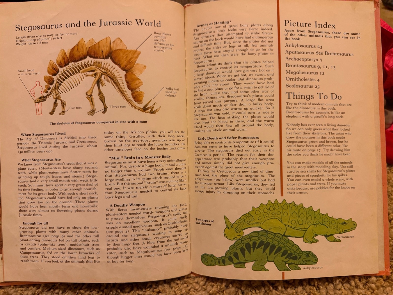 Dinosaur Library Series Lot of 25Vintage 1980s Hardcover Books Rourke VGC READ