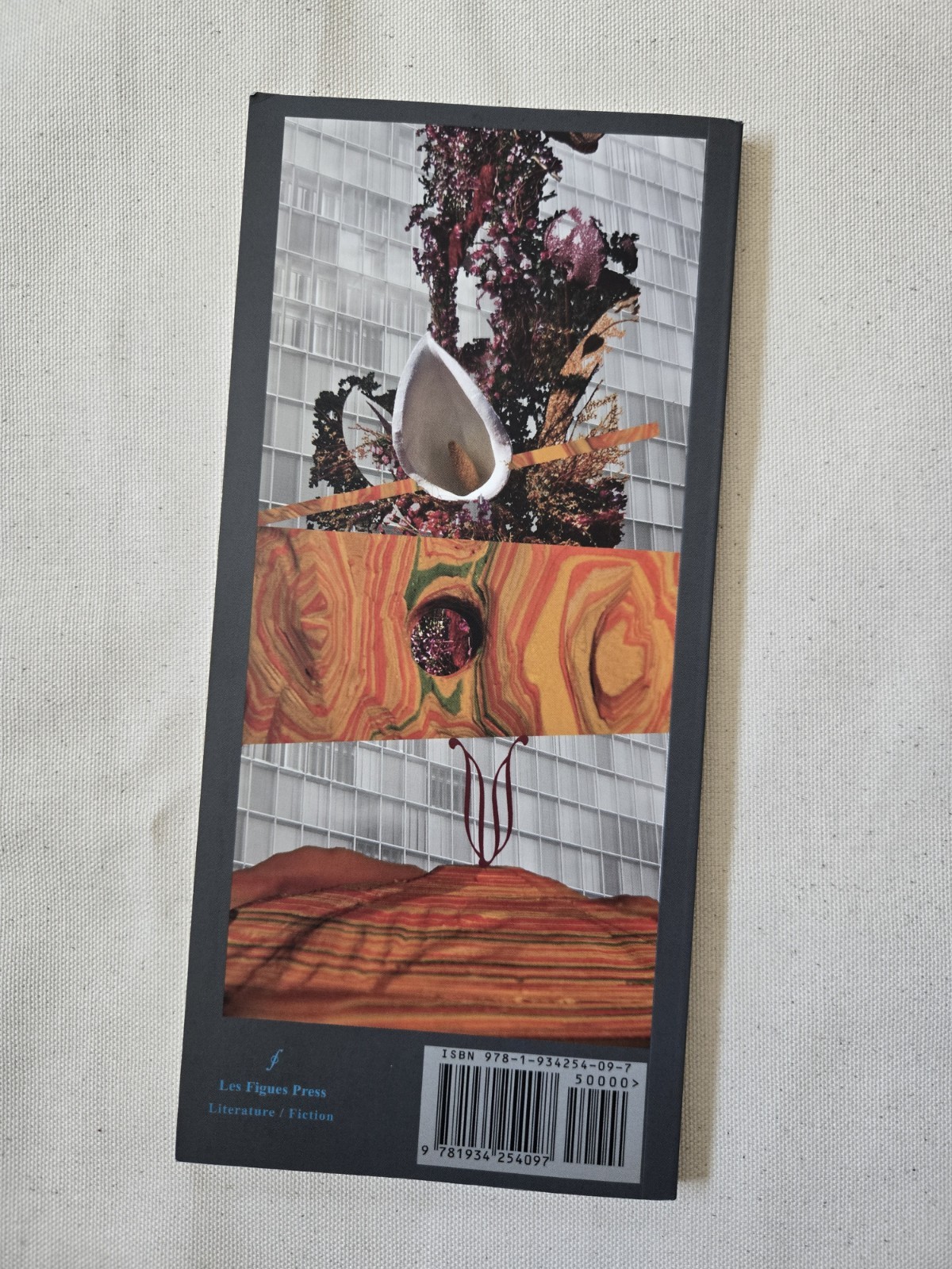 I Go To Some Hollow by Amina Cain, Trade Paperback 2009 Les Figues Press Fiction