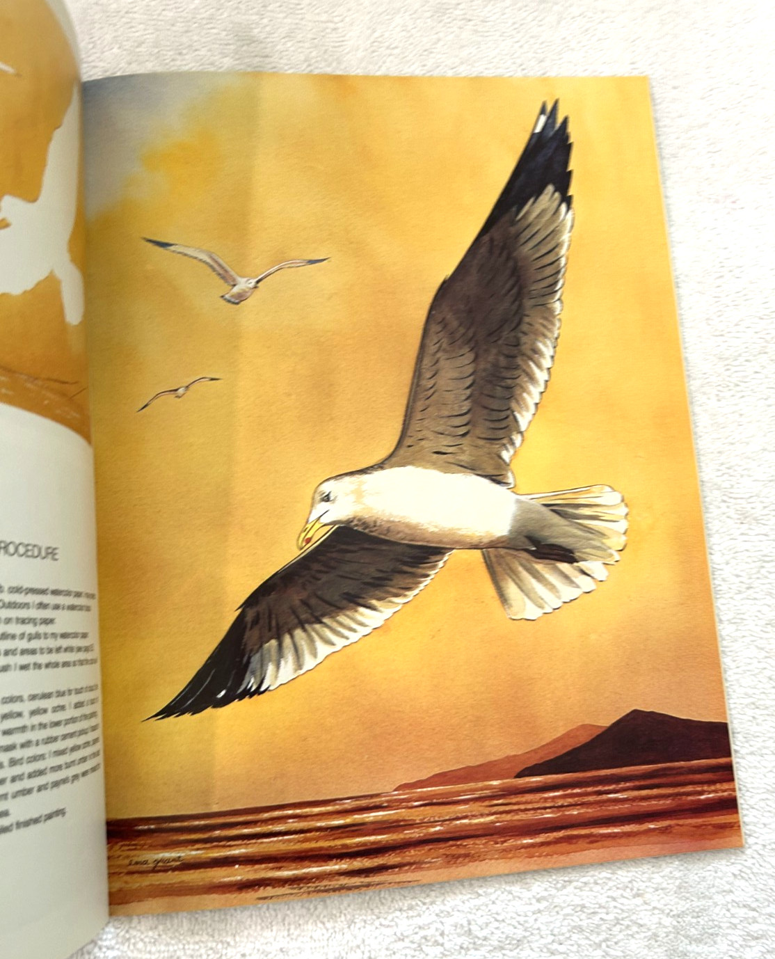 Drawing Painting GULLS AND OTHER SEA BIRDS Ena K Grant Walter T Foster #204
