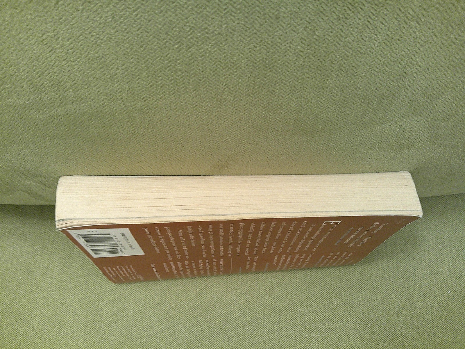 Testimony by Anita Shreve, 9780316067348, Paperback