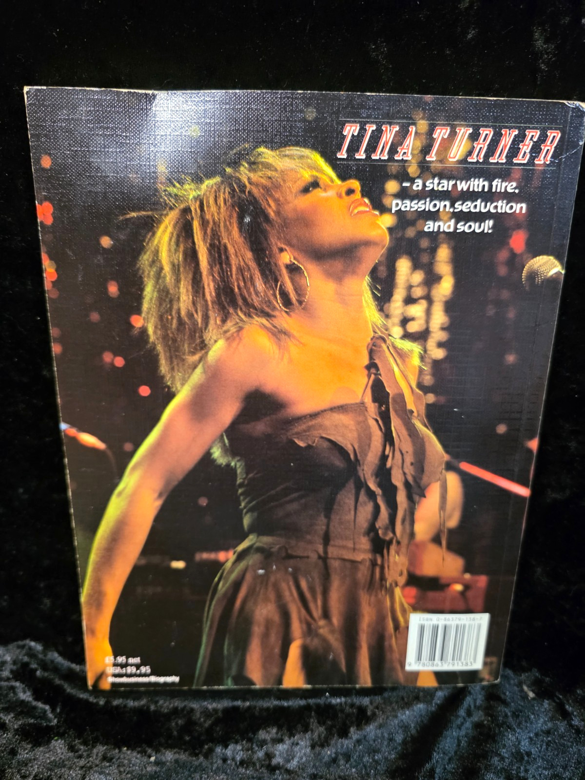 TAKE YOU HIGHER: THE TINA TURNER EXPERIENCE CHRIS WELCH SOFTCOVER