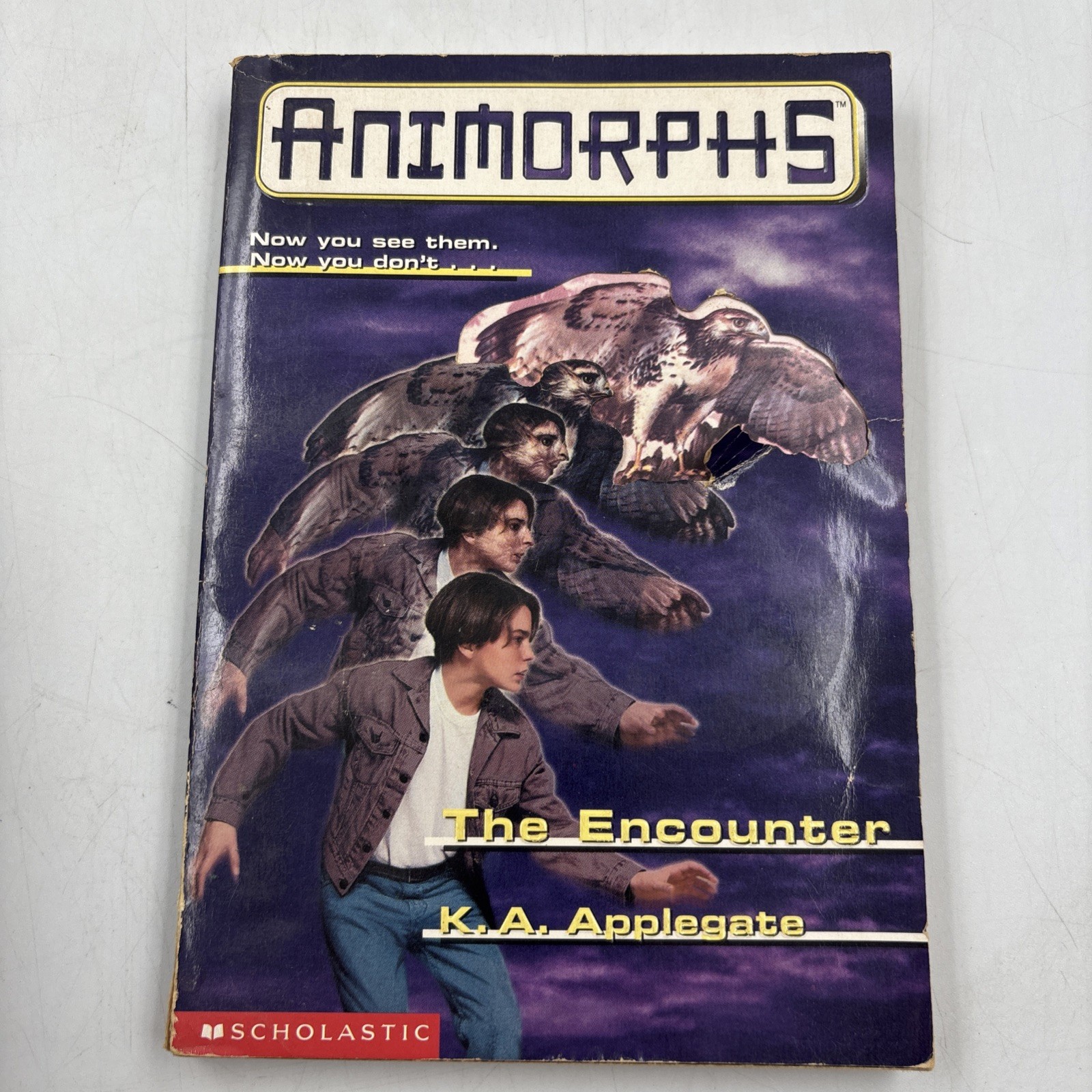 Animorphs Book Lot of 15 K.A. Applegate Scholastic Paperback Vintage 15