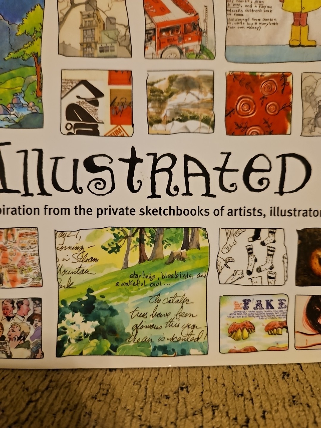 An Illustrated Life: Drawing Inspiration from the… by Gregory, Danny Paperback