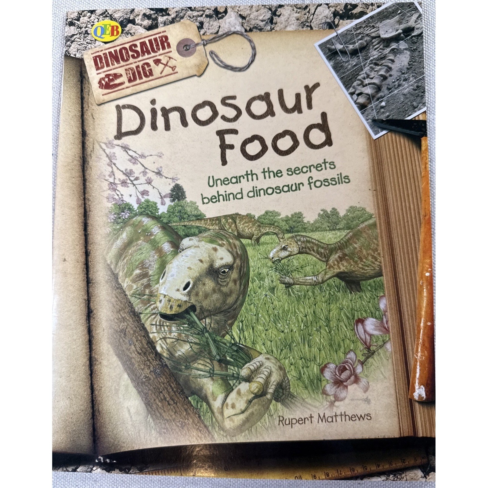 Dinosaur Books Kids Set 4 Rupert Matthews QEB Fossil Science Lot