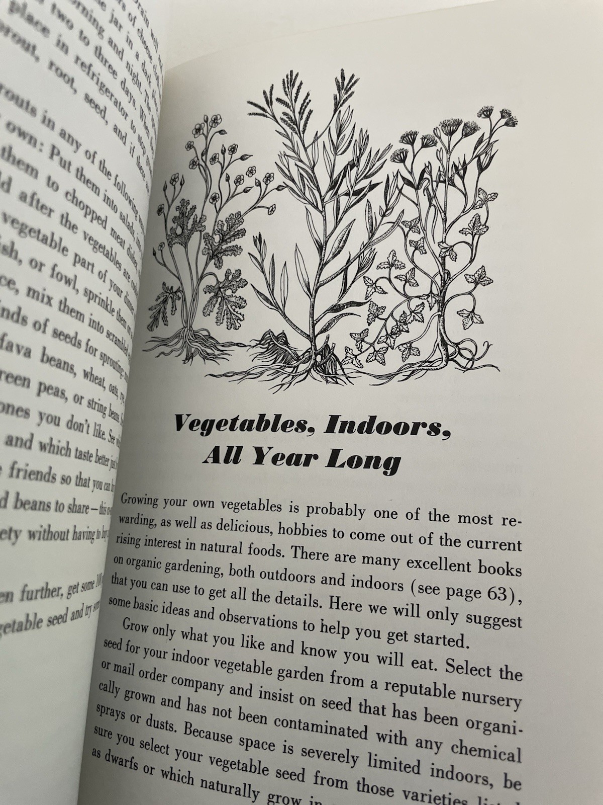 Natural Foods (A Concise Guide) by Barbara and D X Fenten- Hardcover – 1974
