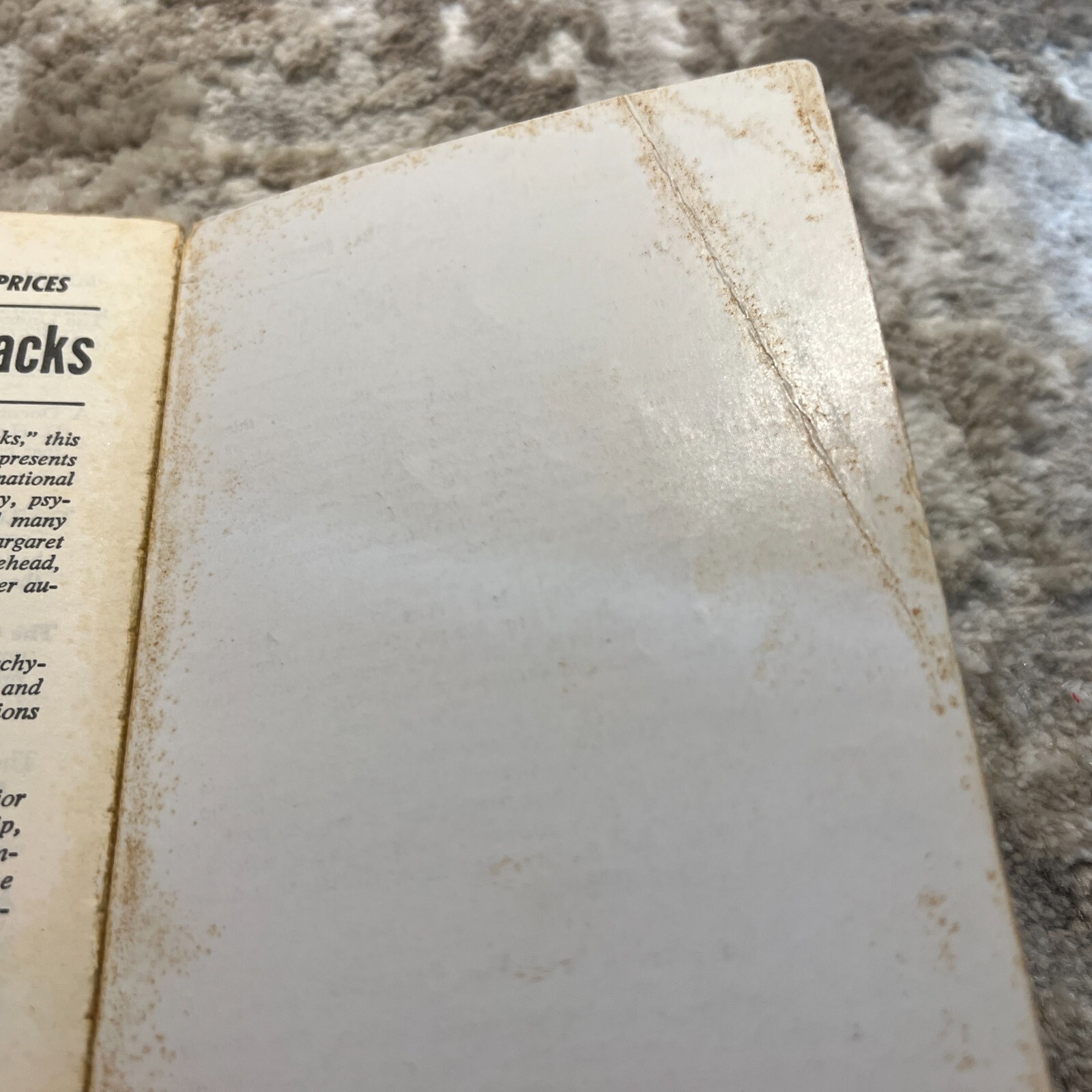 Forth To The Wilderness Frontier Paperback Book by Dale Van Every Mentor 1962