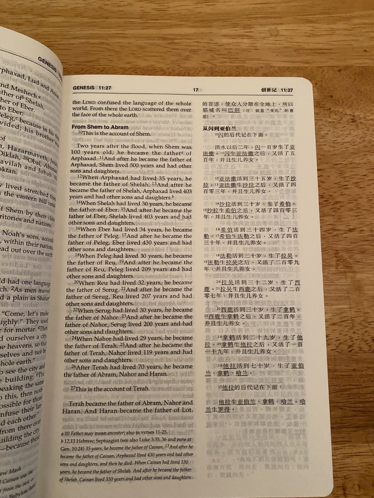 Chinese and English Holy Bible NIV standard Size,中英文《圣经》本/新国际版 -Tabulated