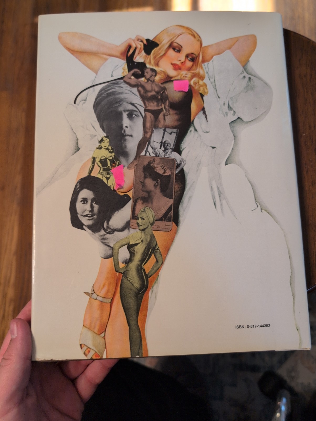 THE PIN-UP a Modest History Mark Gabor + The Book of Nude Photography Hardcover