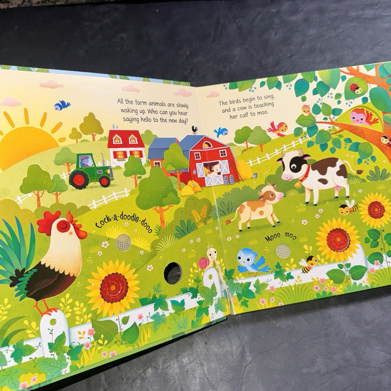 4 Kids Interactive & Sound Books Usborne Tiger Tales Farm Pets Trucks Dinos