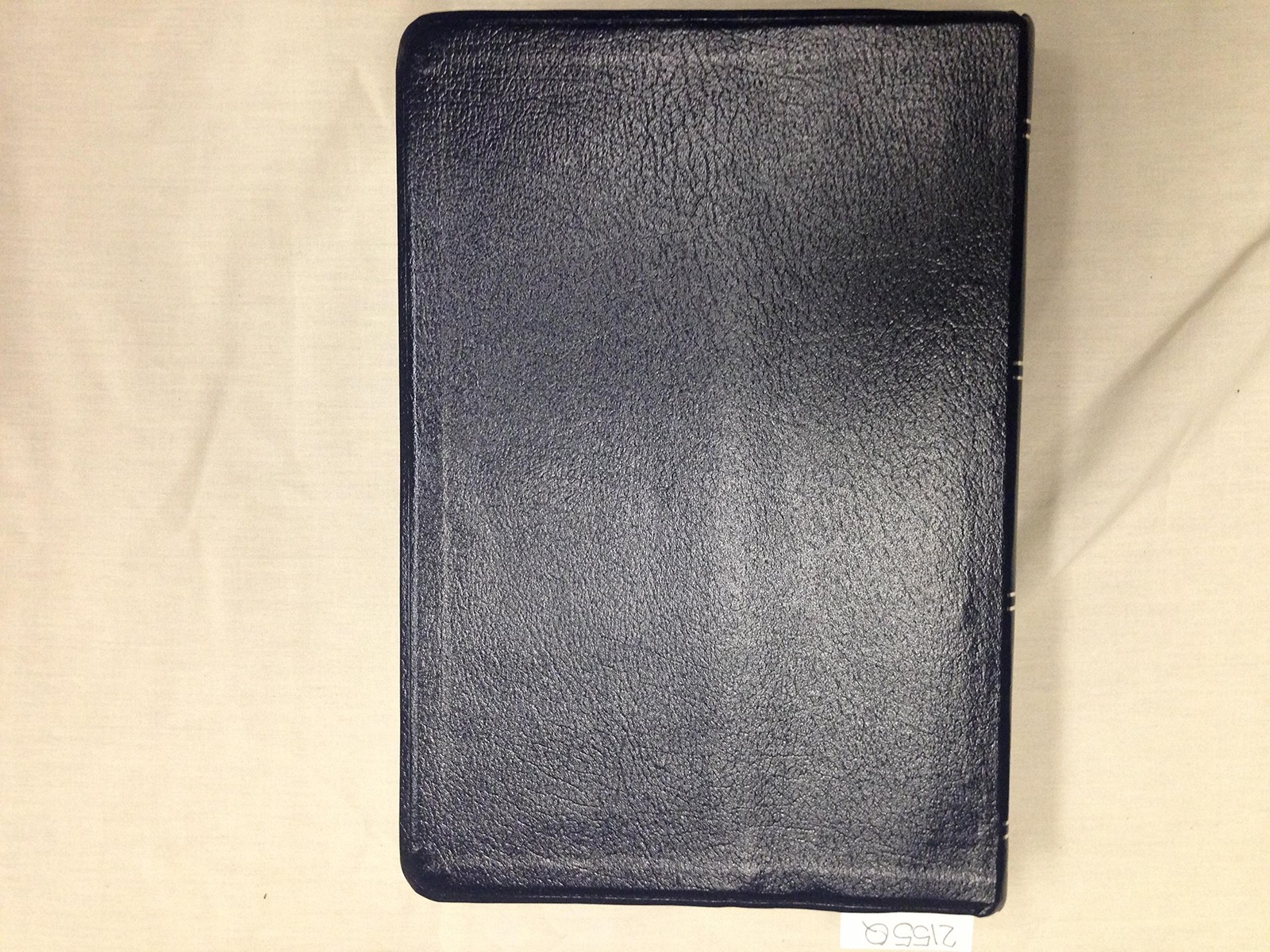 NIV Study Bible