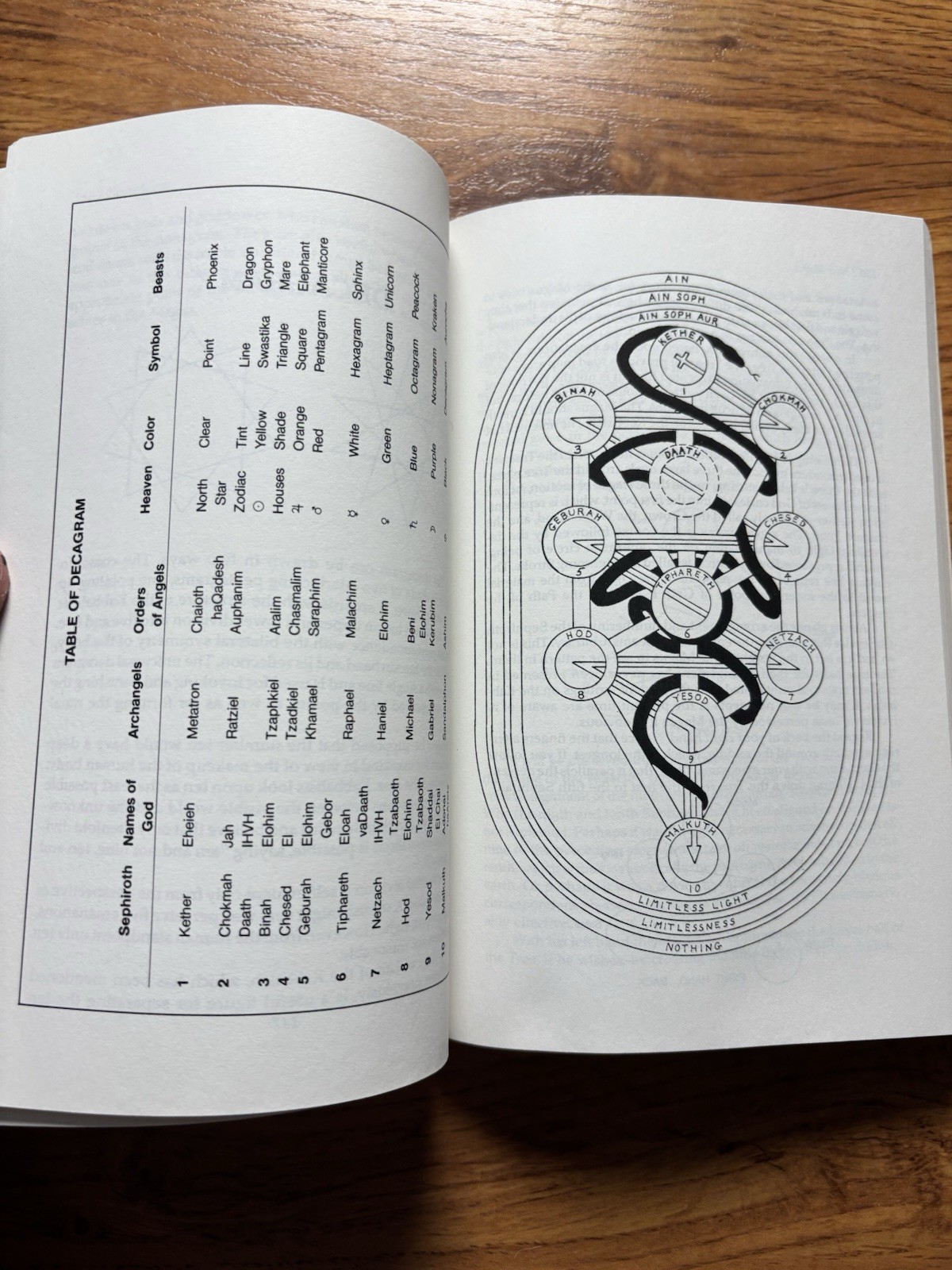 The New Magus Donald Tyson Ritual Magic Personal Process Occult Book