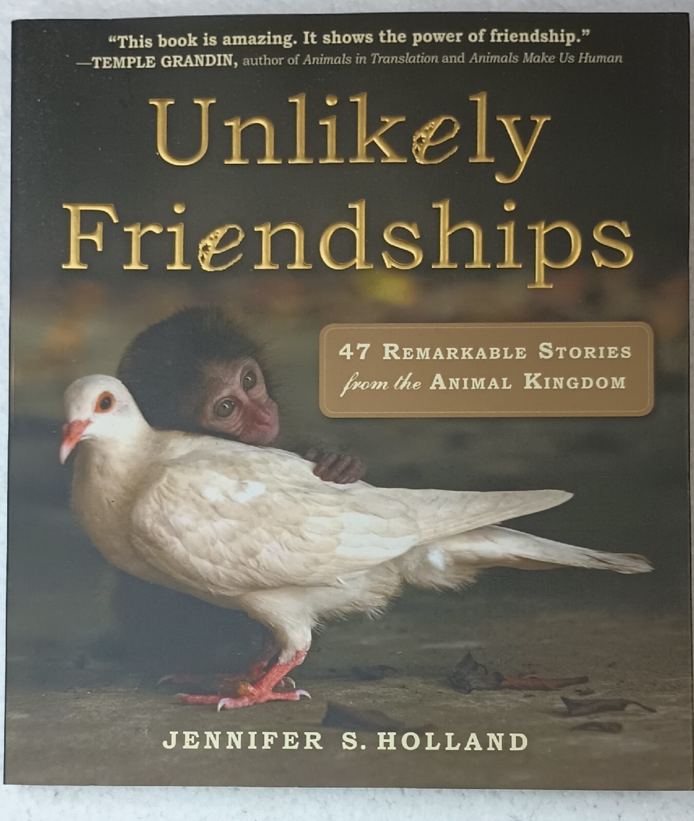 Unlikely Friendships Paperback Book Jennifer Holland Animals Relationships 2011