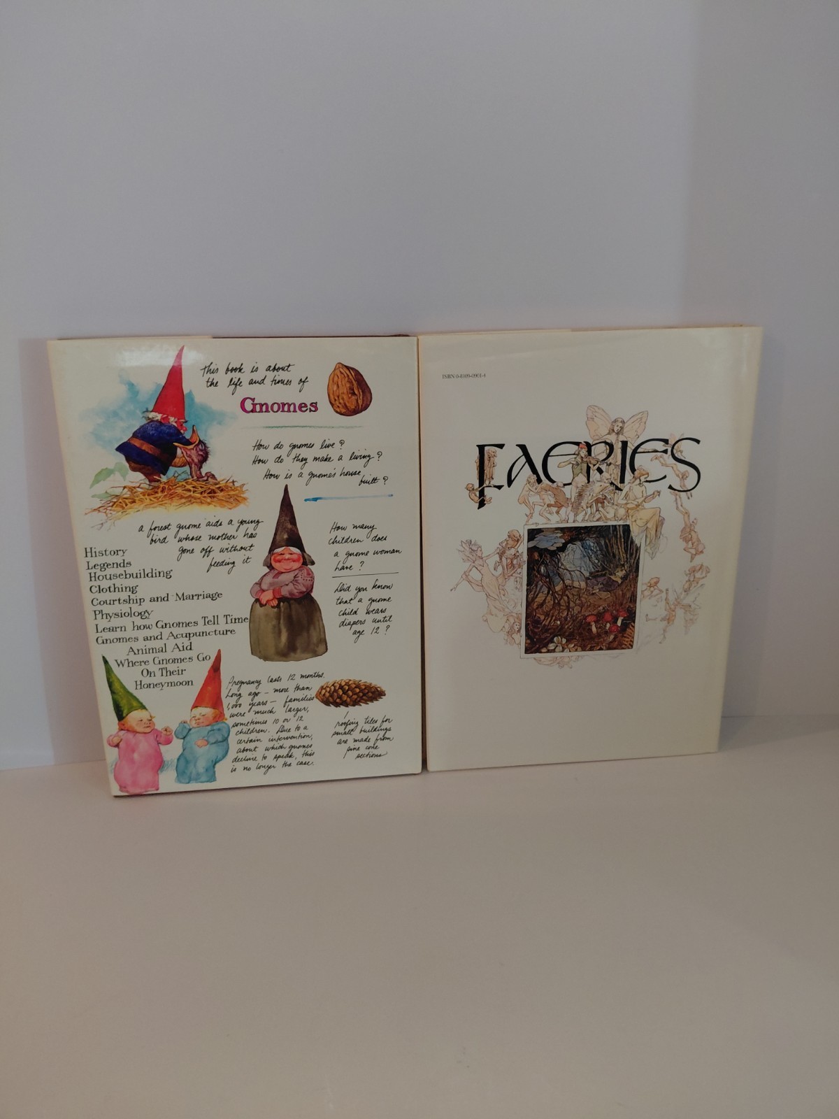 FAERIES Brian Froud Hardcover 1978 & 1979 Gnomes Huygen Illustrated Book Lot