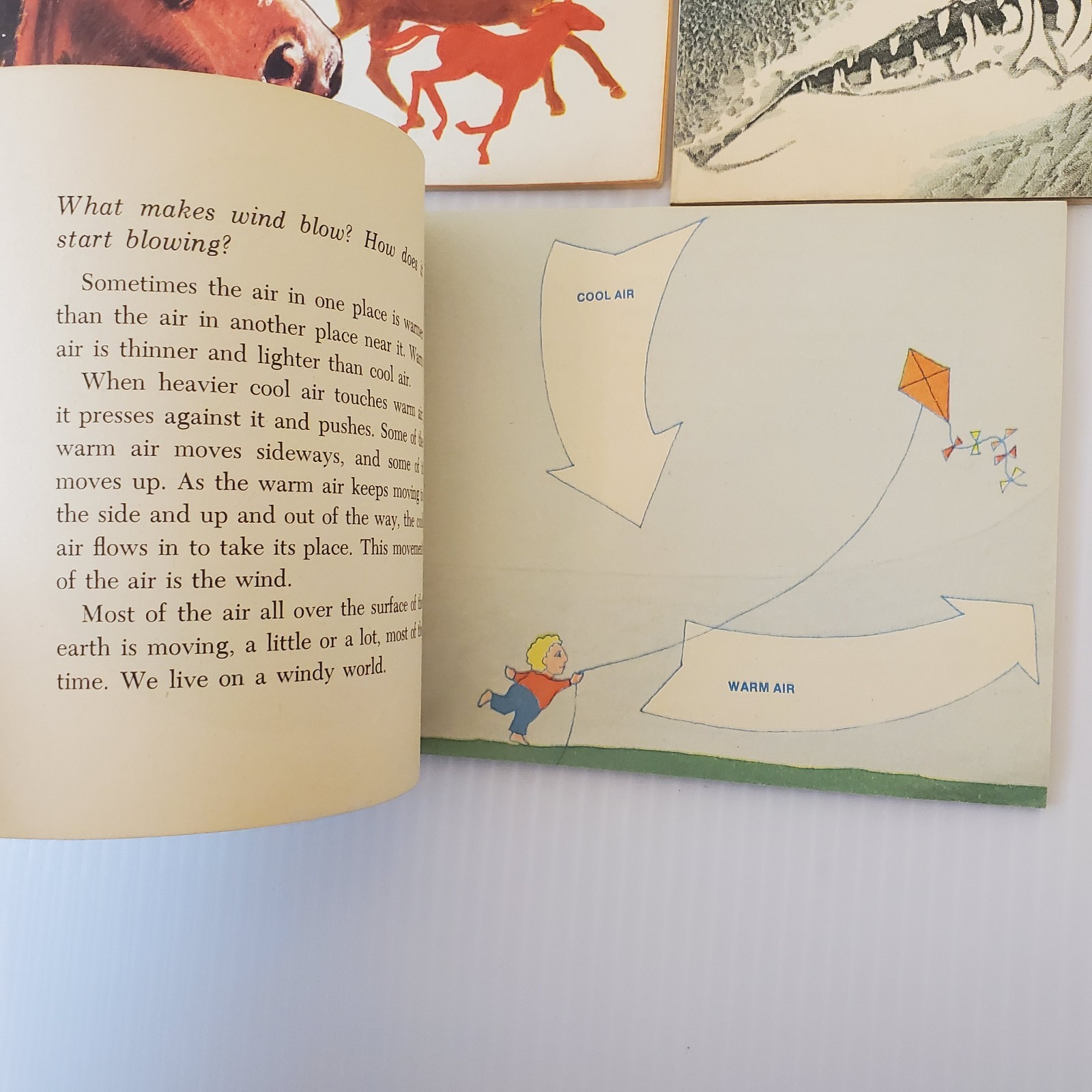 Lot of 3 Scholastic Books Horses Richard Harris, Sharks Tinkelman, About Weather