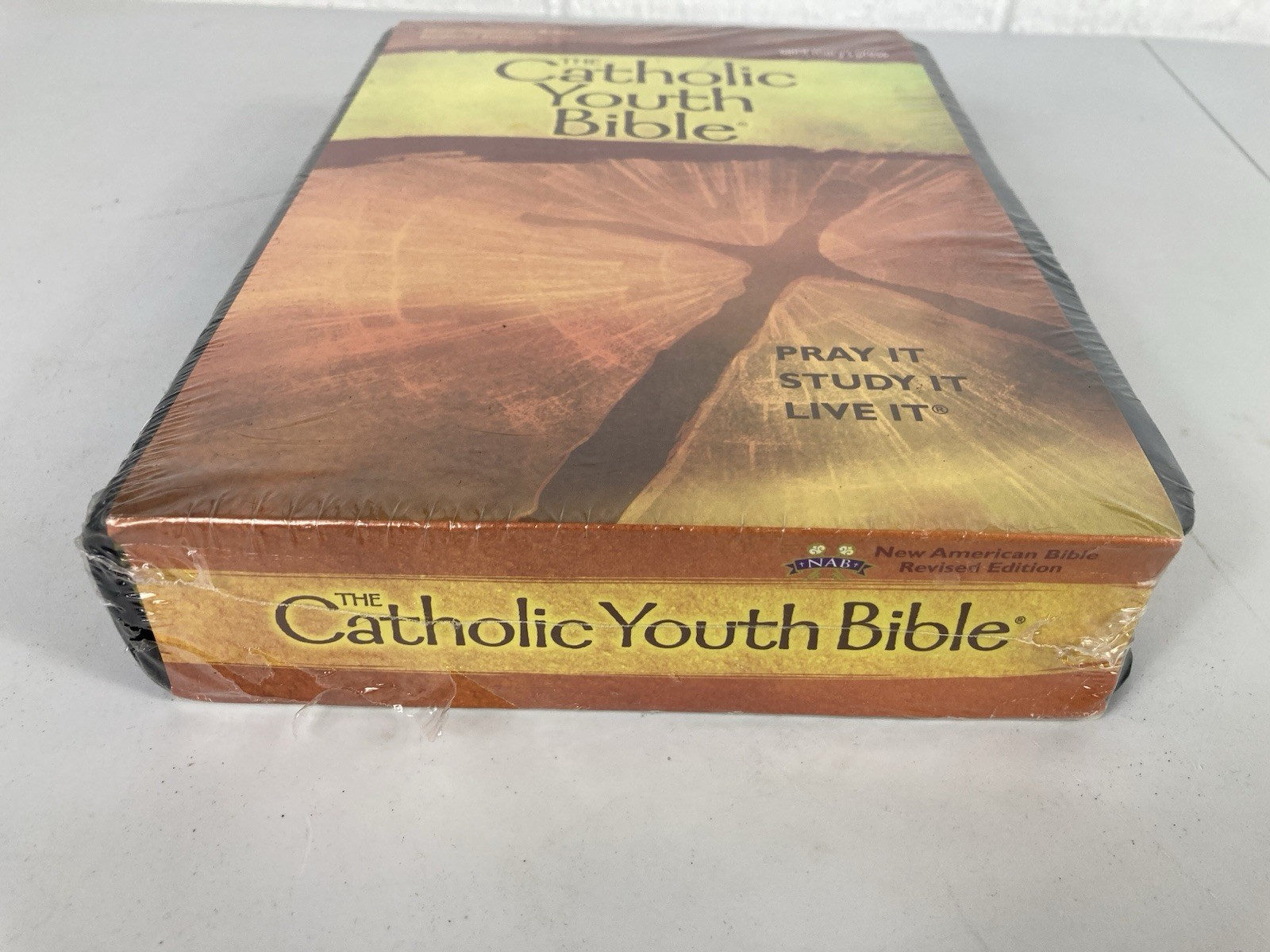 The Catholic Youth Bible Saint Mary’s Press New American Bible Revised Edition