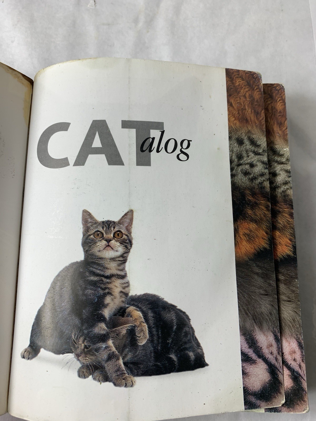 VTG CATalog PB By Dr Bruce Fogle First American Edition 2000