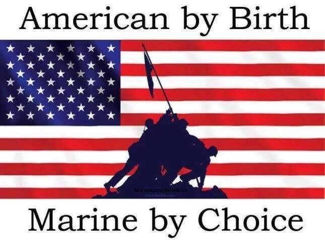 250th America anniversary in July 2026 always Faithful – a MEMOIR- Marine at war