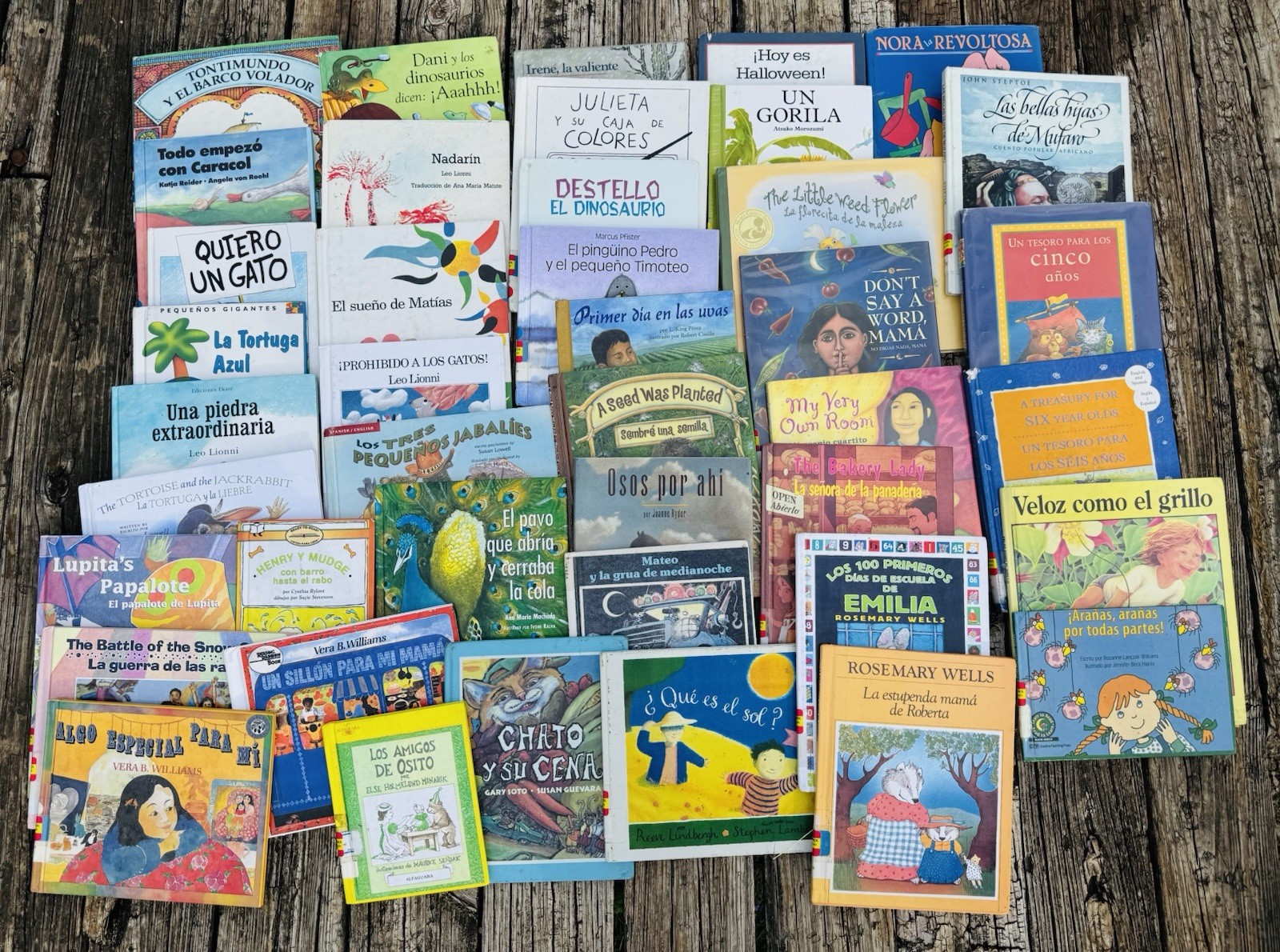 Lot of 42 Children Spanish Bilingual Books: Hardcover Classroom Library Bundle