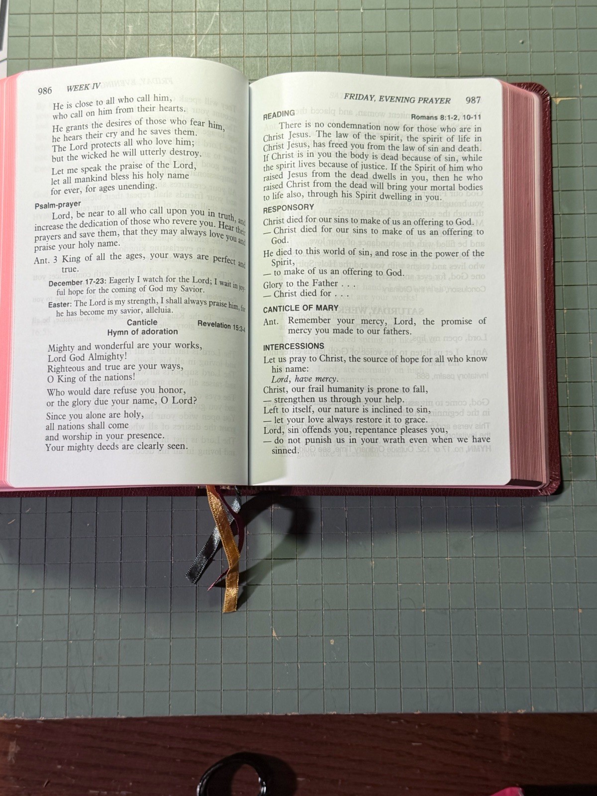 Christian Prayer LARGE Type Catholic Book Publishing Company 407/10 Printed 1985