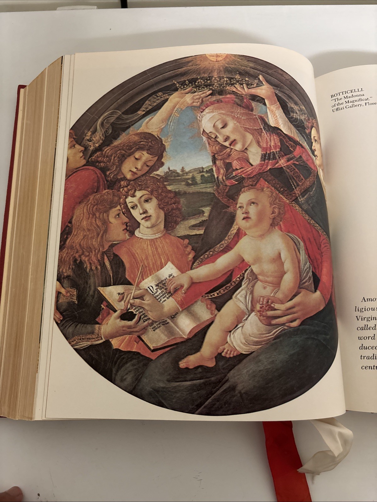 Holy Bible NAB Red. The New American Bible. Catholic Press World